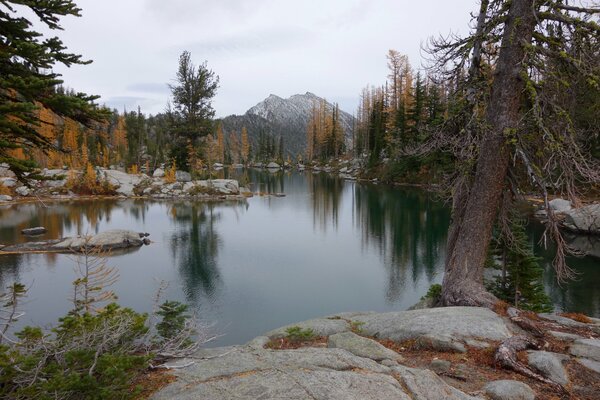 Reflejo de árboles y montañas en el lago