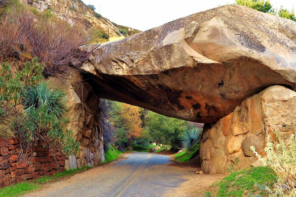 Tunnel di pietra a Sequoia Park