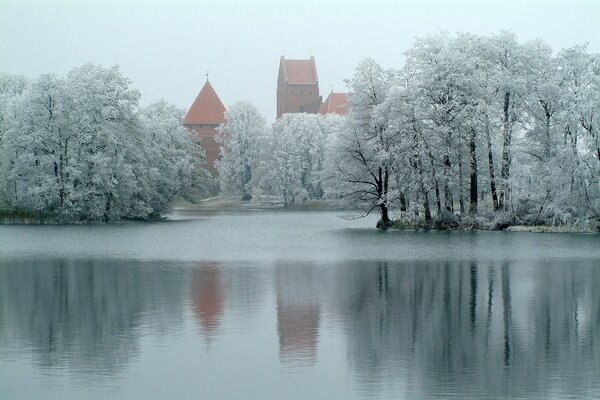 Winter Natur am eisigen Wasser