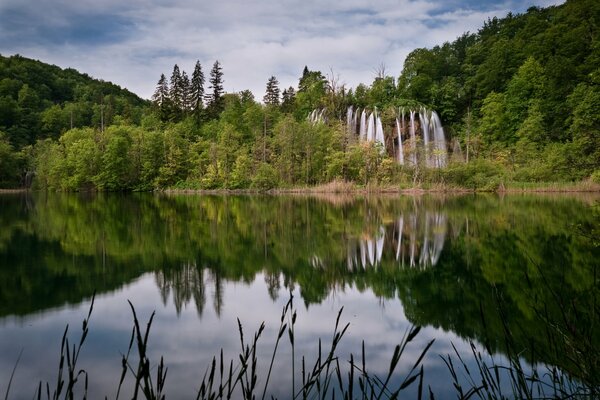 Wasserfall und Waldlandschaft im Sommer