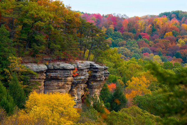 Autumn crimson on the green plateau