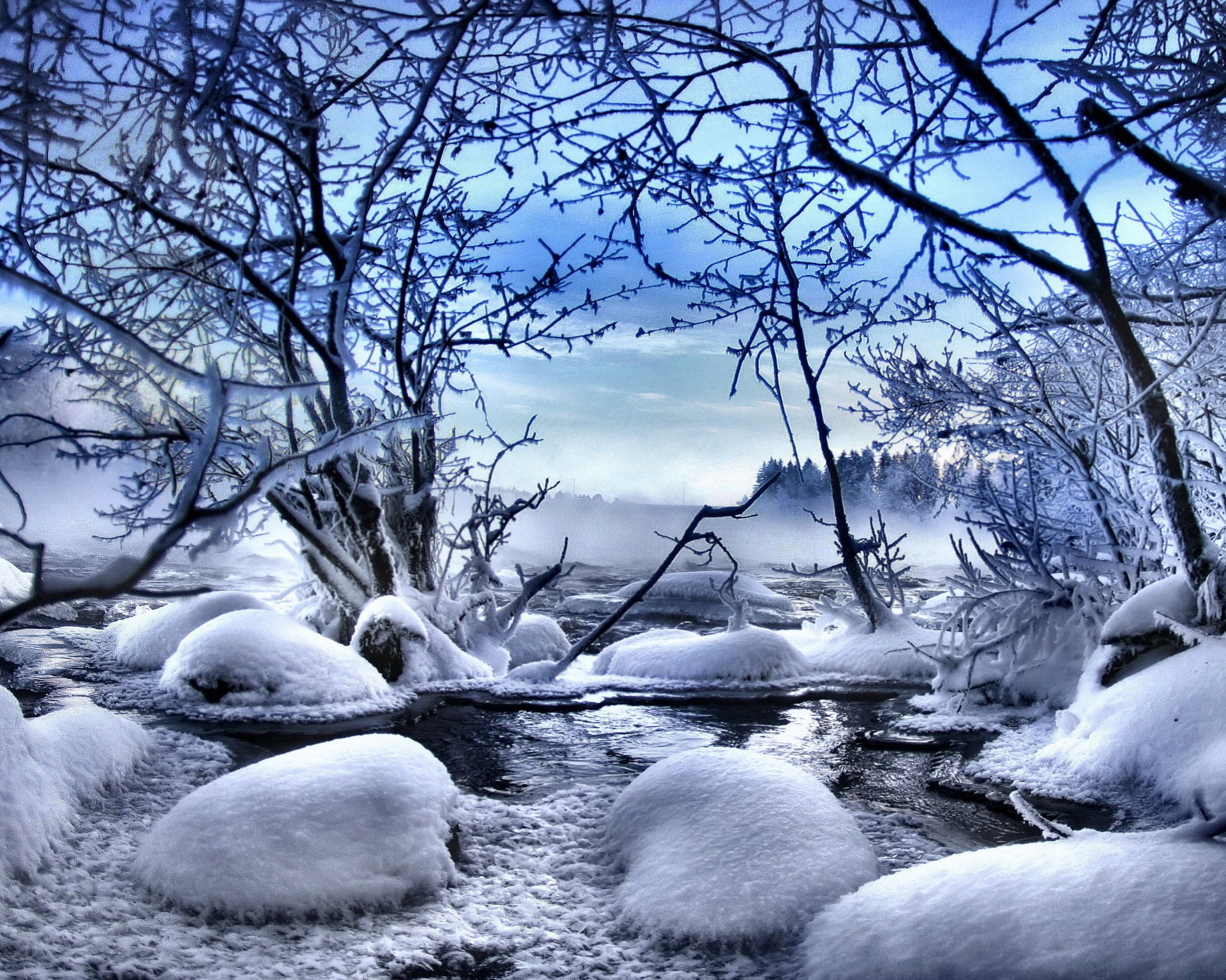 hiver nature neige arbre hiver arbres