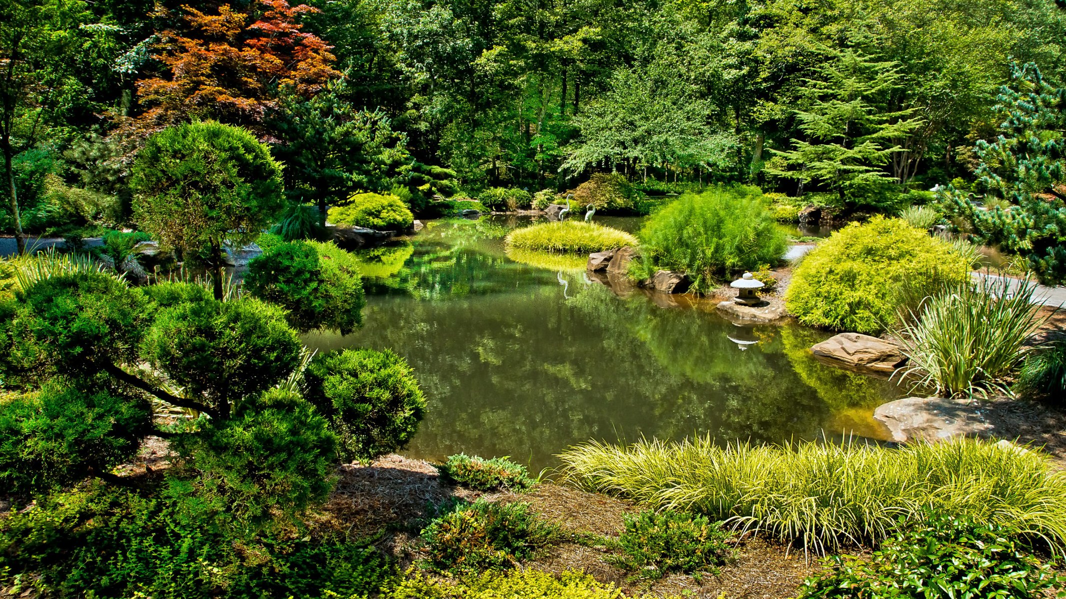 états-unis jardin étang gibbs jardins buissons nature photo