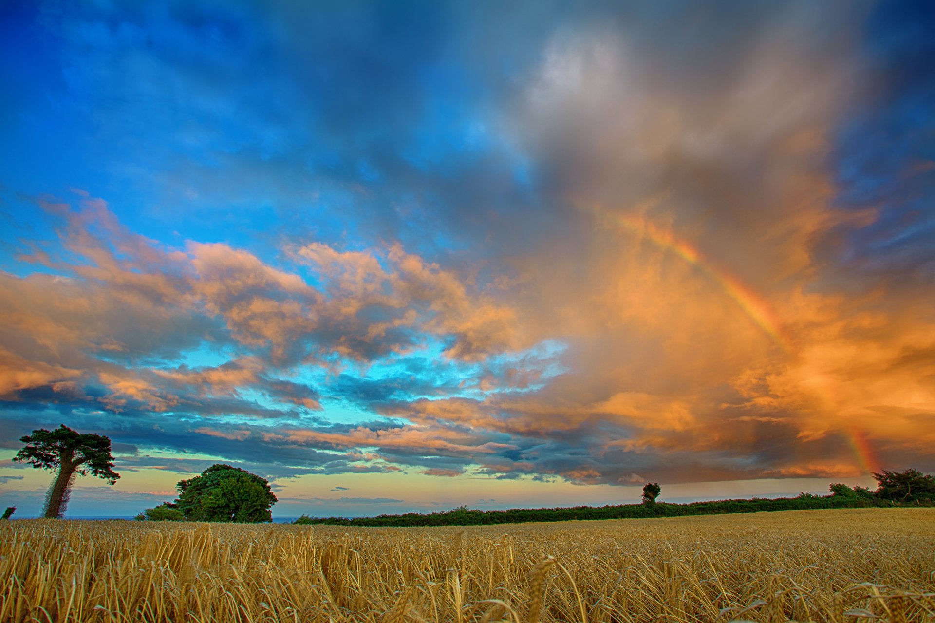 campo árboles nubes arco iris