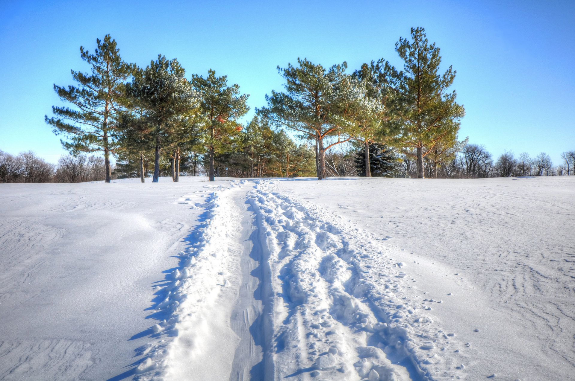 himmel winter bäume feld schnee gehweg fußabdruck