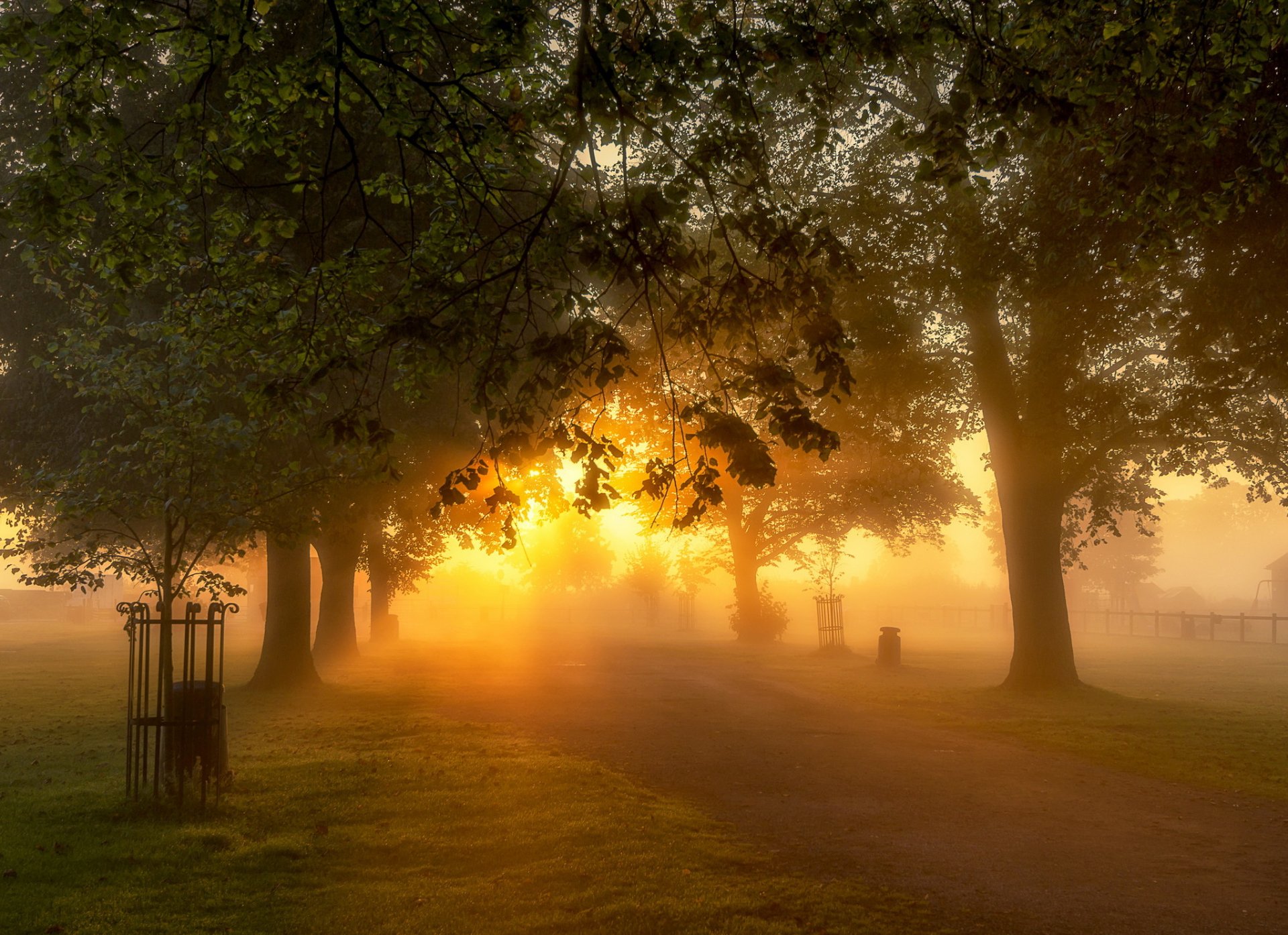 matin parc nature lumière