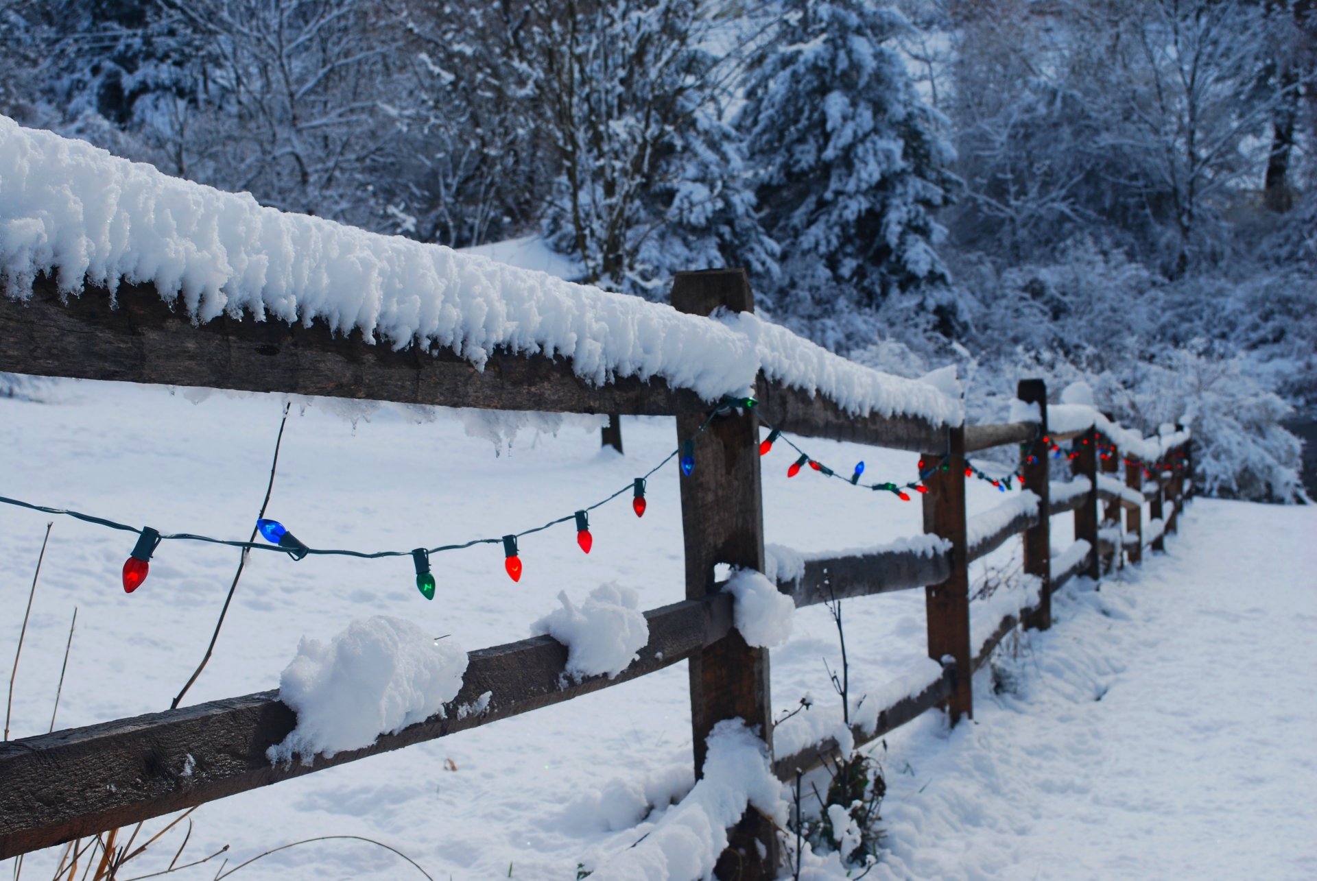 hiver joyeux noël bonne année neige nature clôture lanternes vacances hiver lumière vacances noël nouvel an