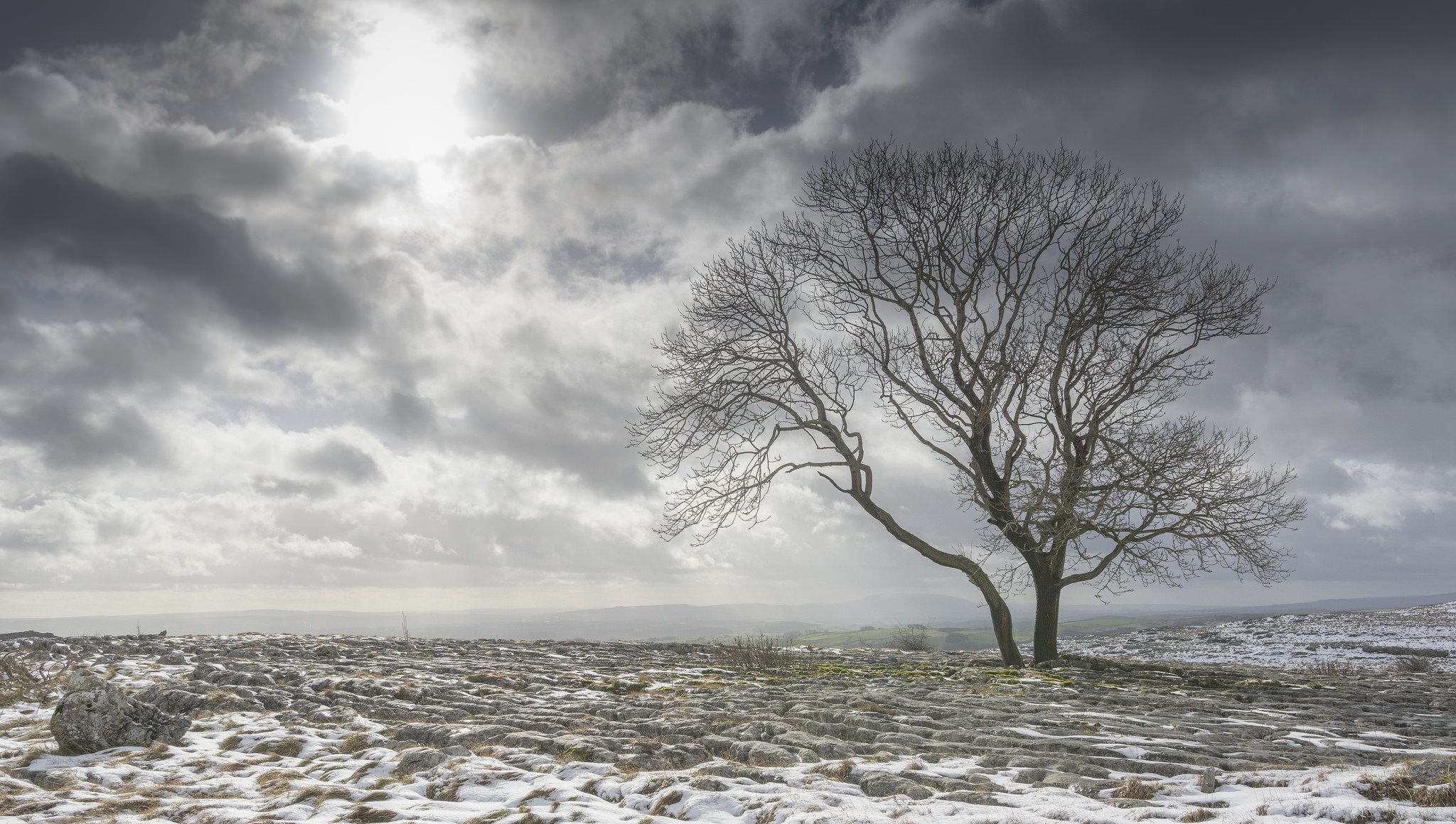 feld baum schnee wolken