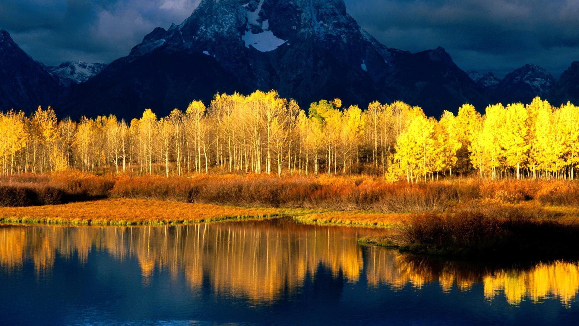 forest tree mountain clouds snow sky water river gold reflection