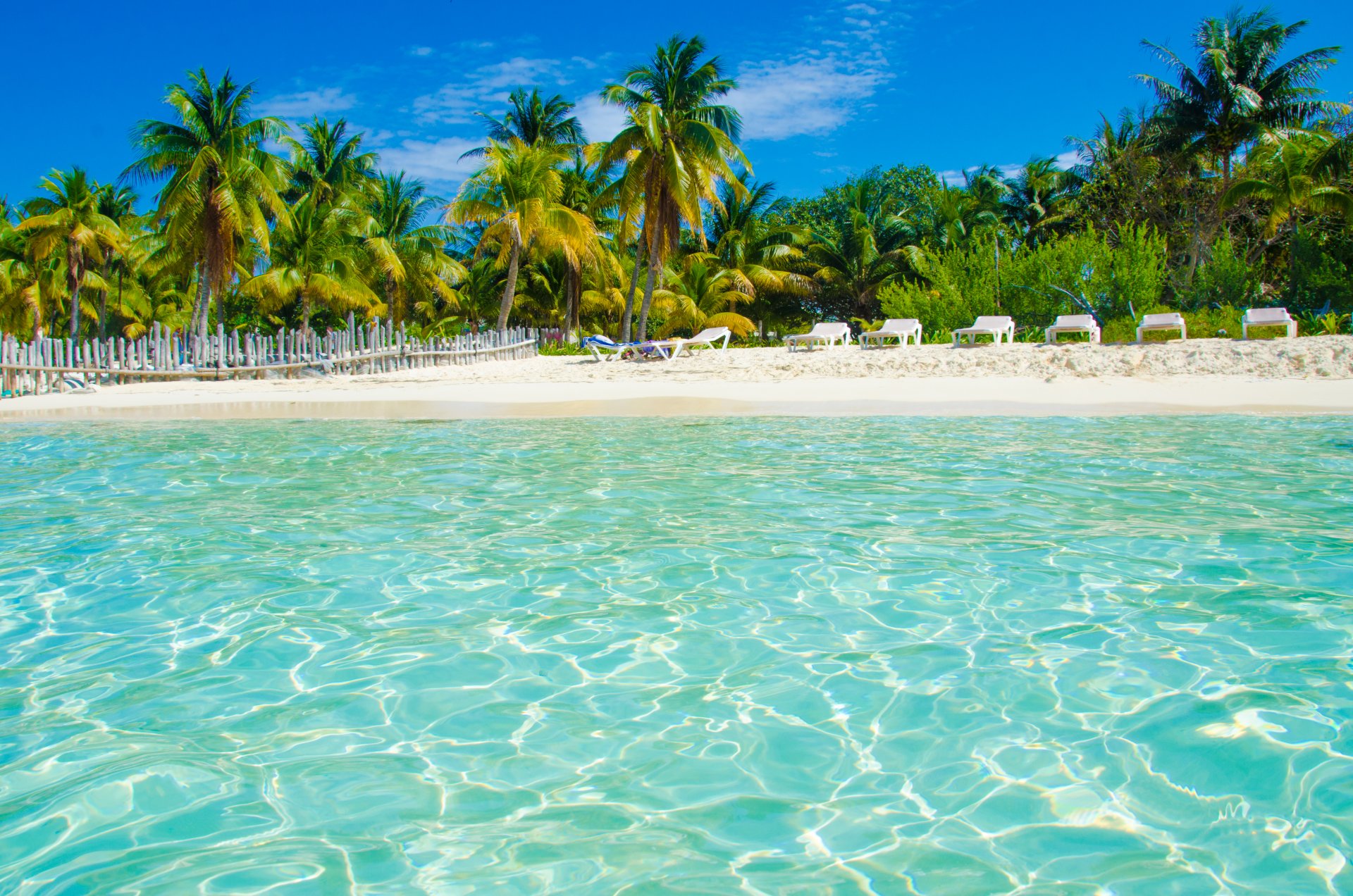 tropici mare spiaggia palme vacanze