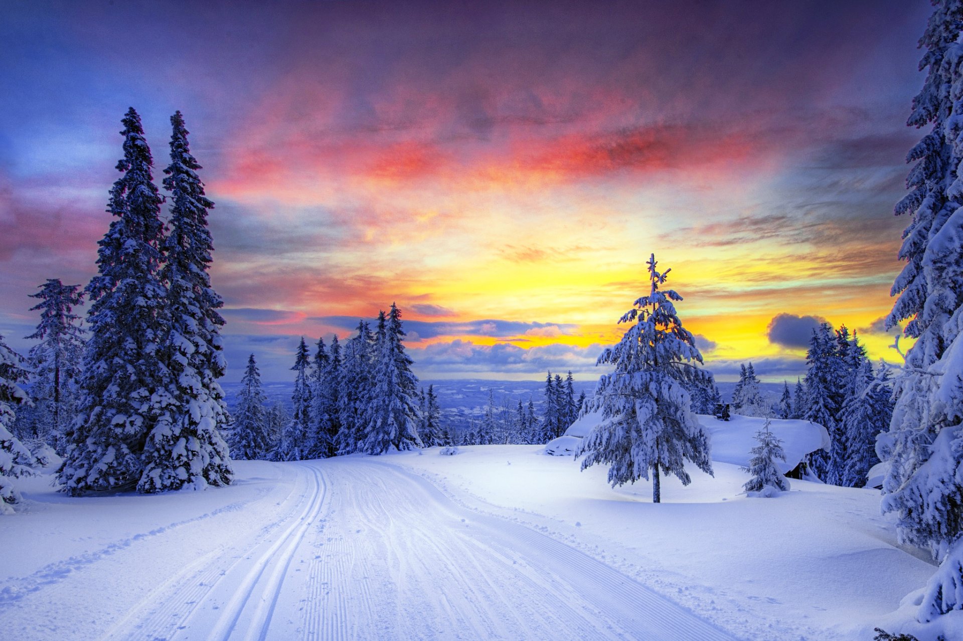 norvège hiver neige arbres arbres de noël forêt route traces coucher de soleil ciel nuages montagnes nature