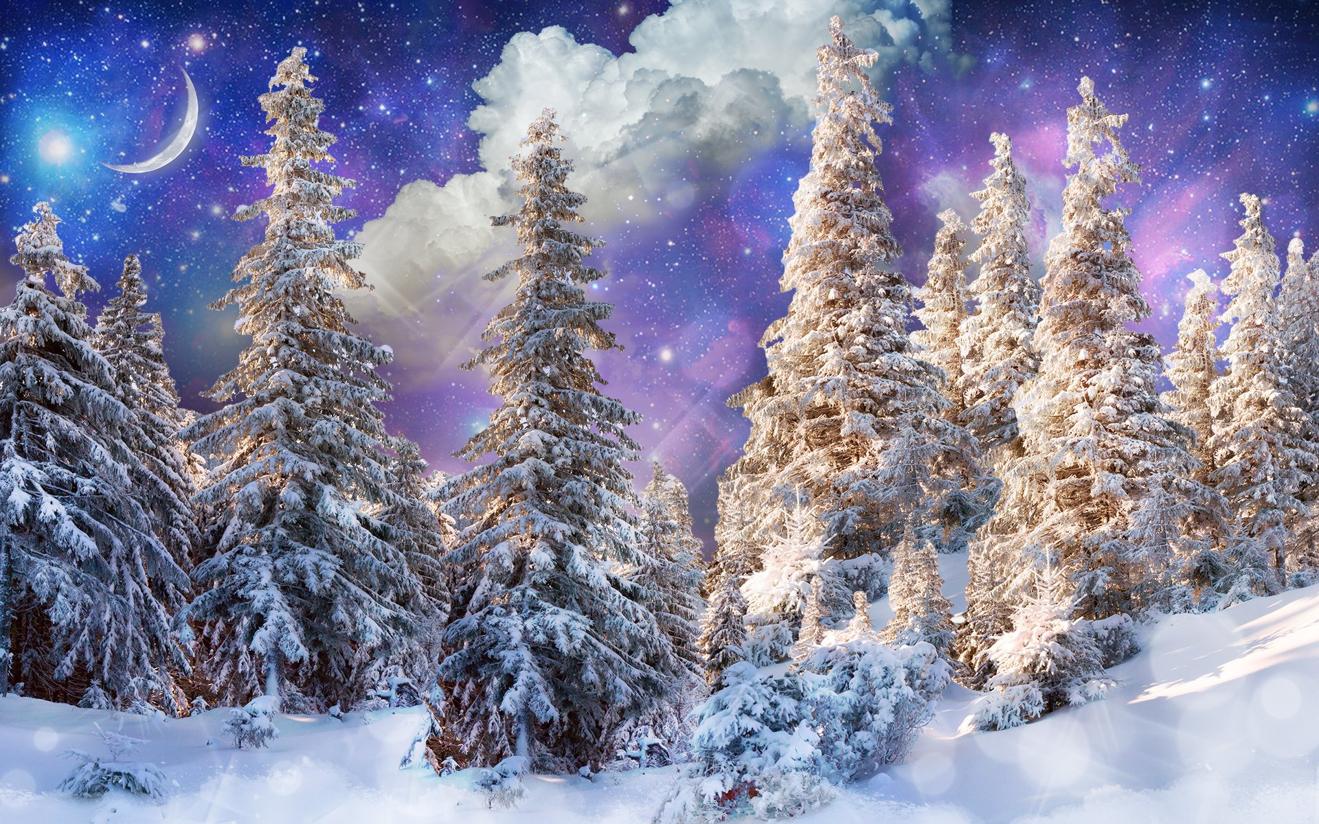 hiver forêt arbres neige soleil mois étoiles nuages éblouissement fantasy photoshop