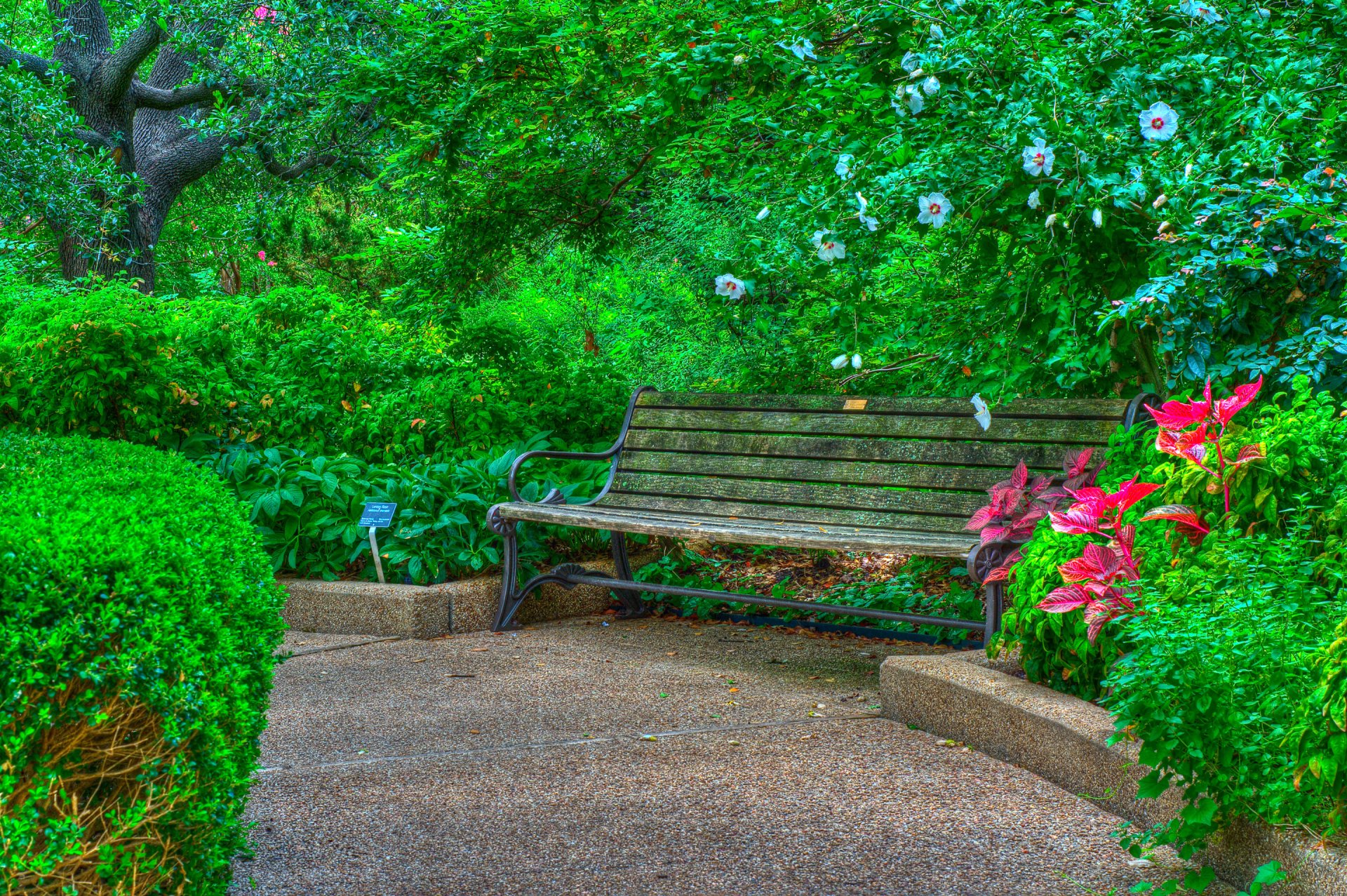 parc arbres buissons banc fleurs hdr