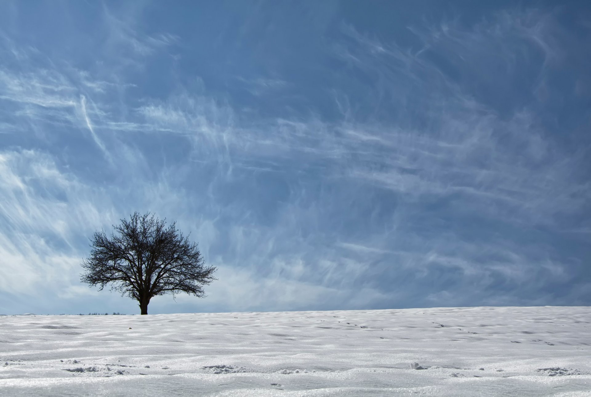 kurdistán región etnogeográfica asia árbol nieve cielo