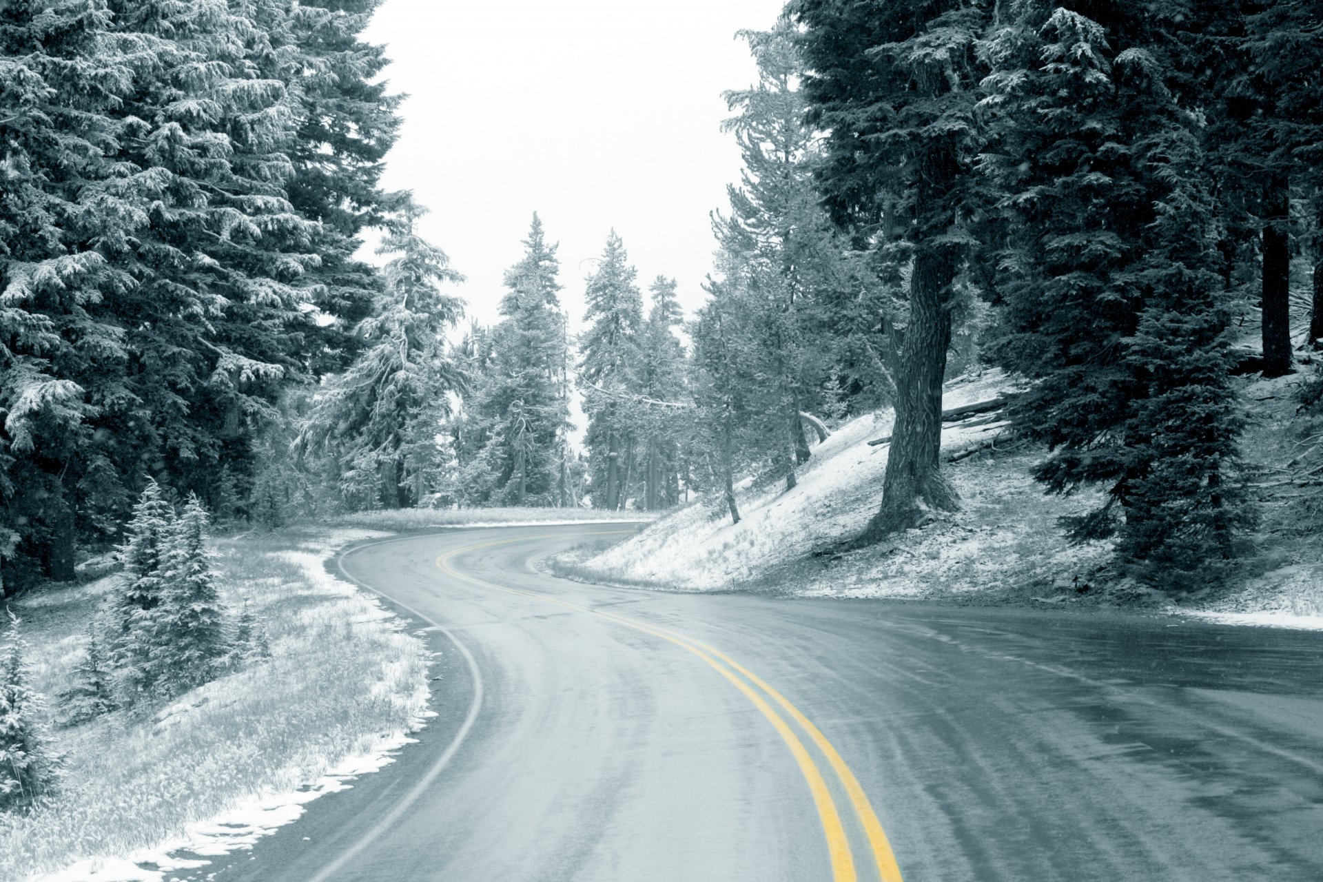 carretera invierno nieve bosque