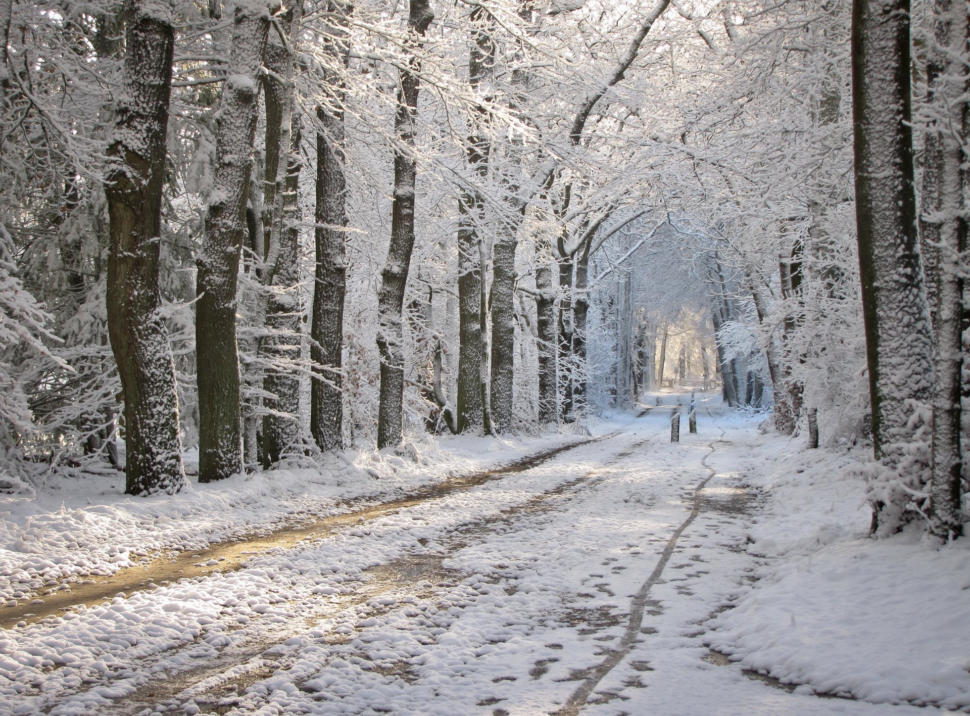 invierno parque carretera nieve escoria