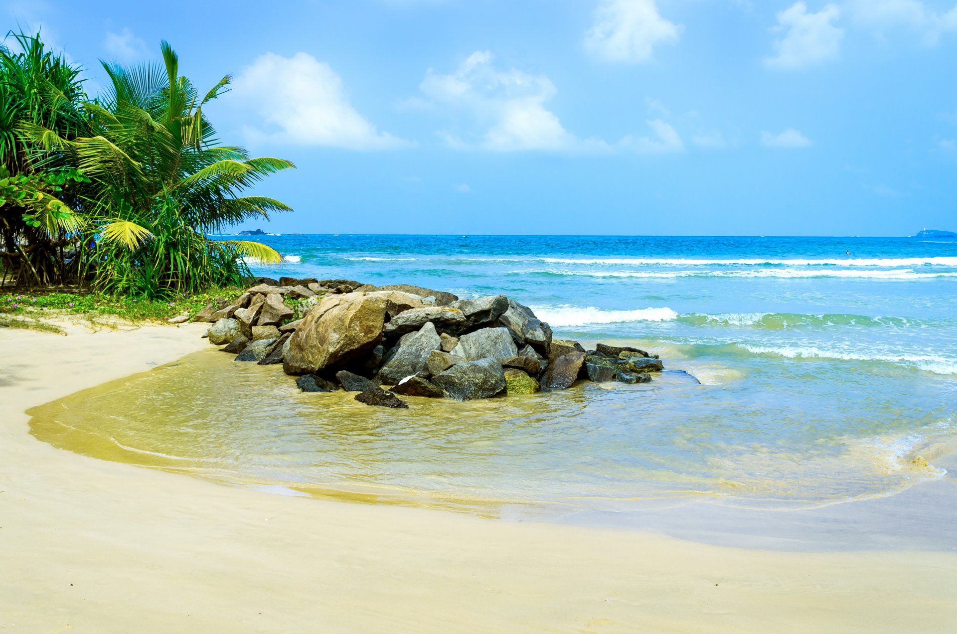 tropical paradise beach palms sea ocean sunshine summer vacation palm tropics sand