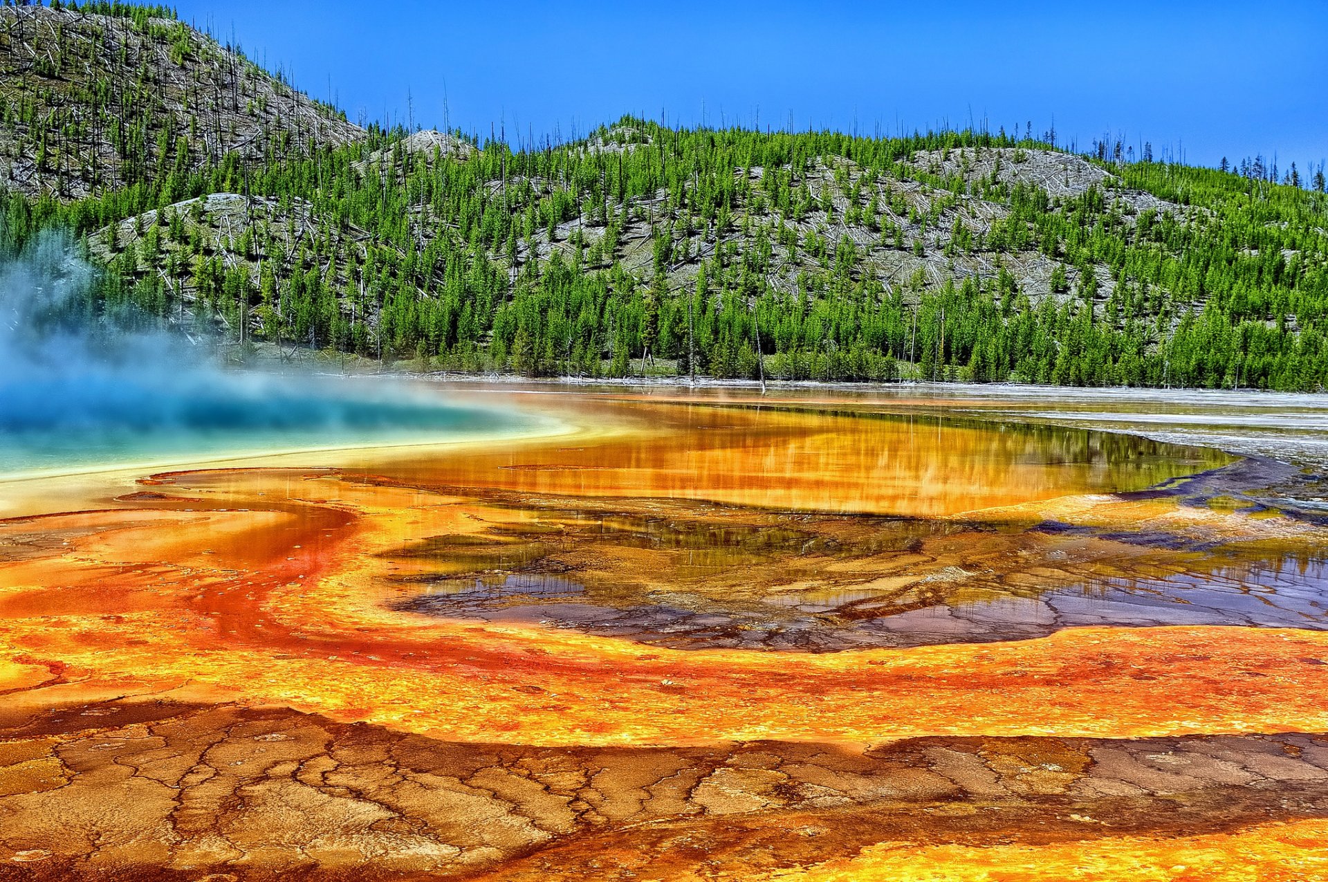 gran fuente prismática parque nacional de yellowstone wyoming yellowstone aguas termales árboles