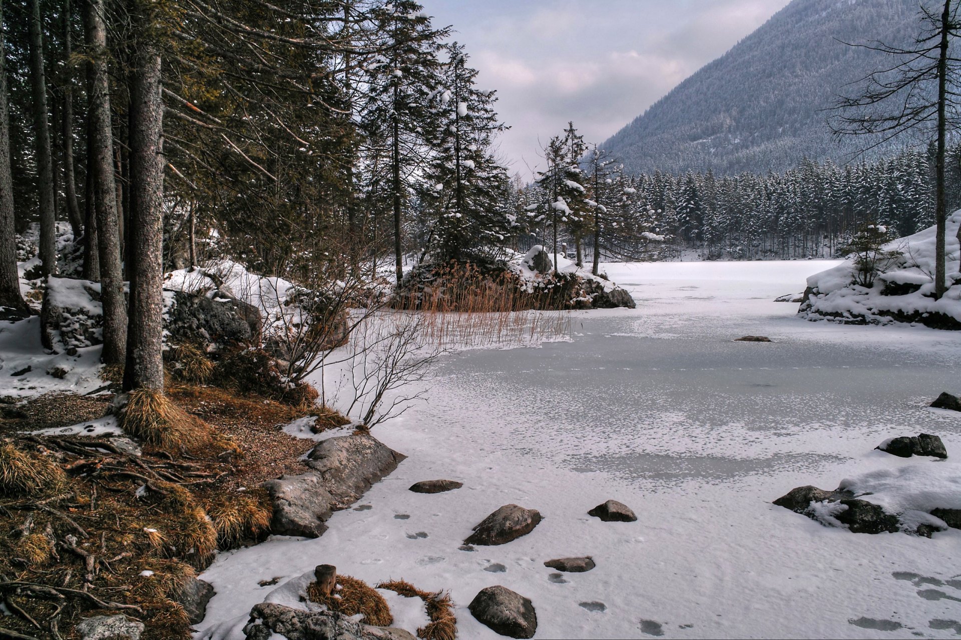 ciel montagnes hiver arbres lac glace neige nature