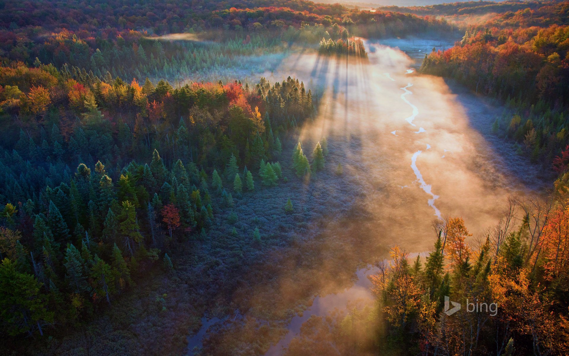 beaver meadow reserva nacional de montaña verde vermont estados unidos bosque árboles río puesta de sol rayos otoño