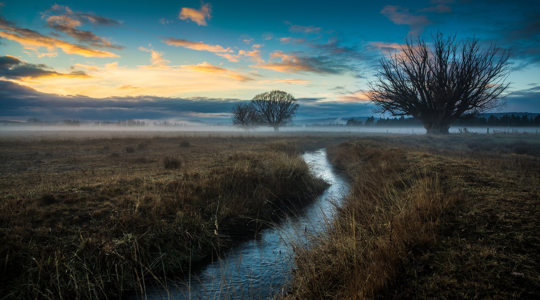 ciel nuages lueur champ brouillard ruisseau arbres