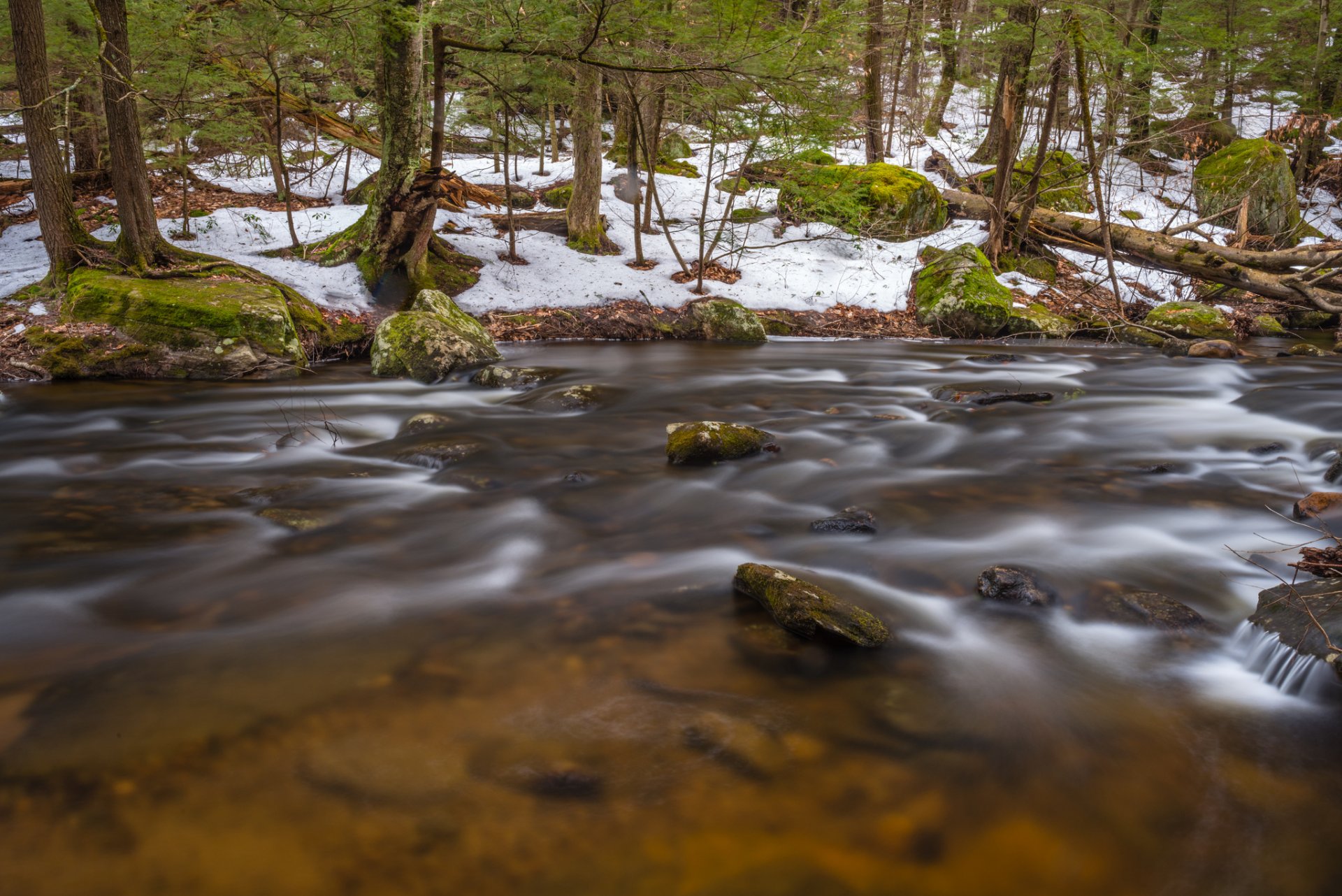 bosque primavera nieve río corriente