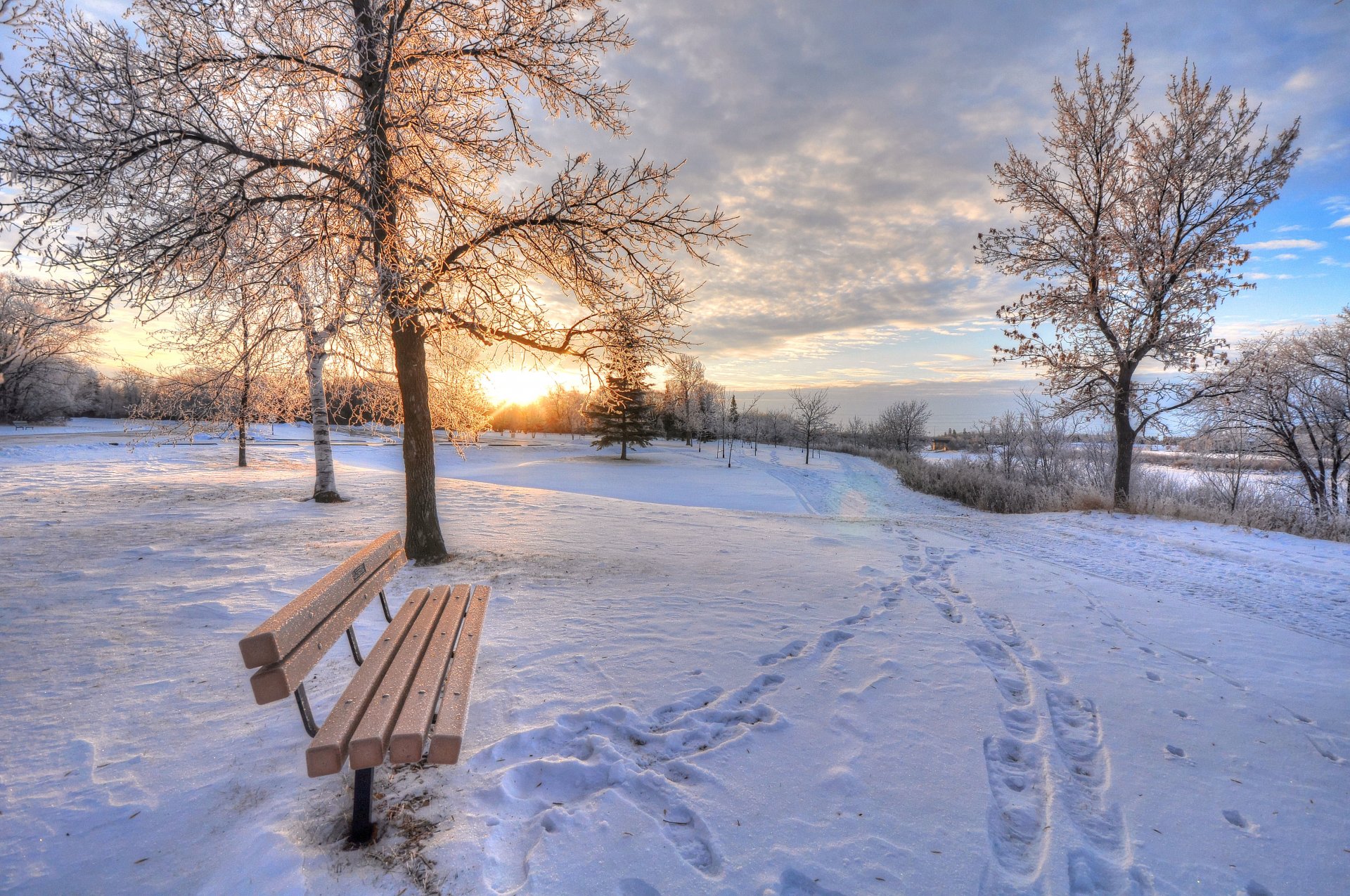 invierno nieve banco