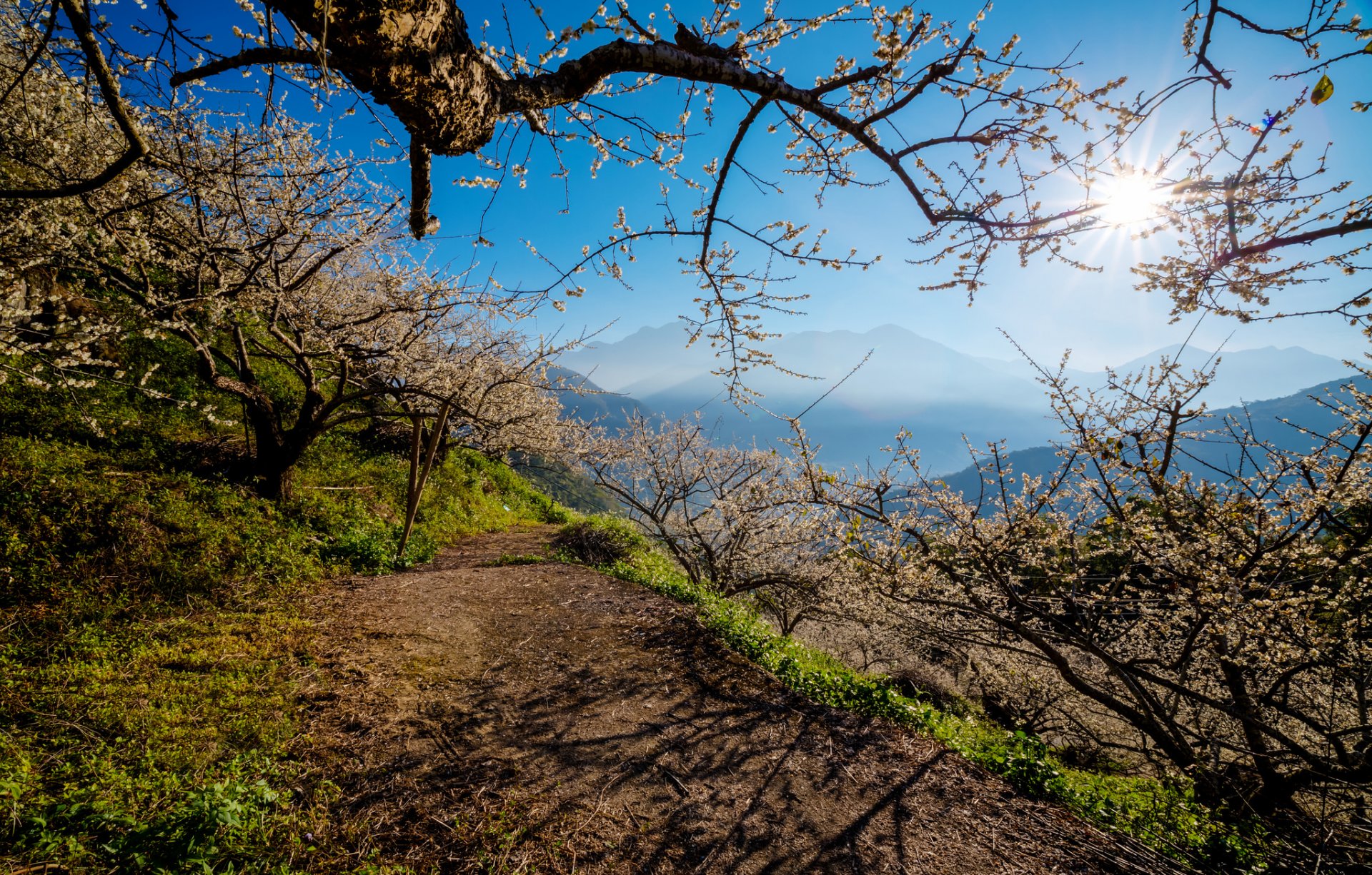 himmel berge fußweg bäume frühling