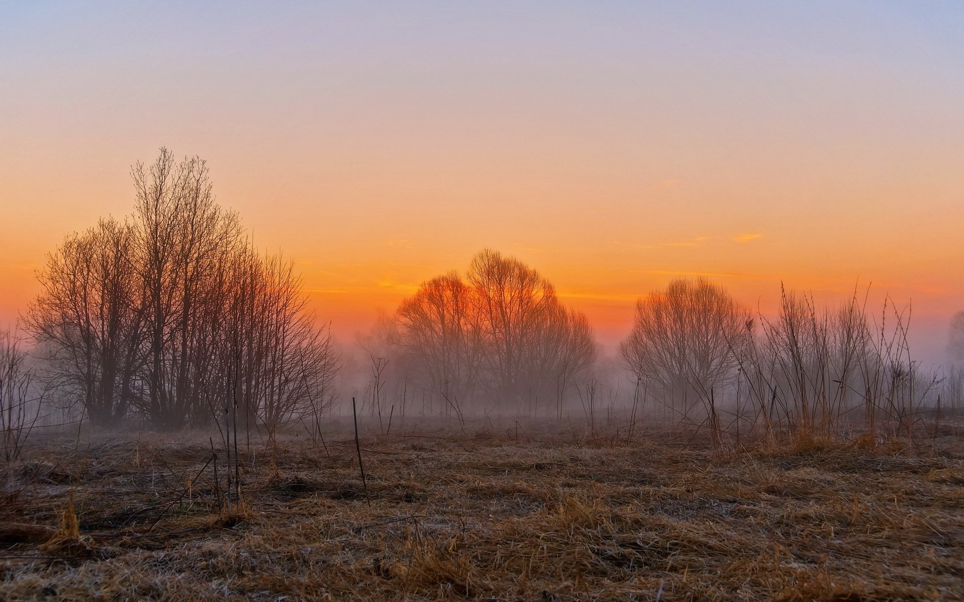 campo tramonto nebbia paesaggio