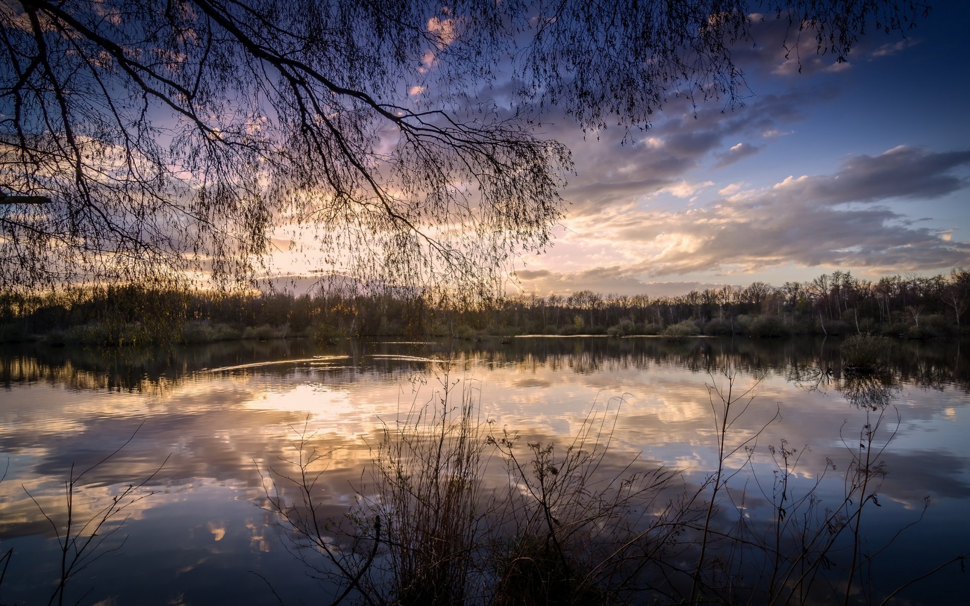 wald see reflexion