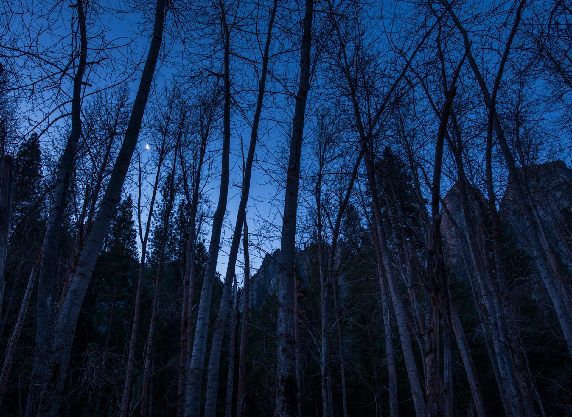 notte cielo luna mese alberi montagne rocce