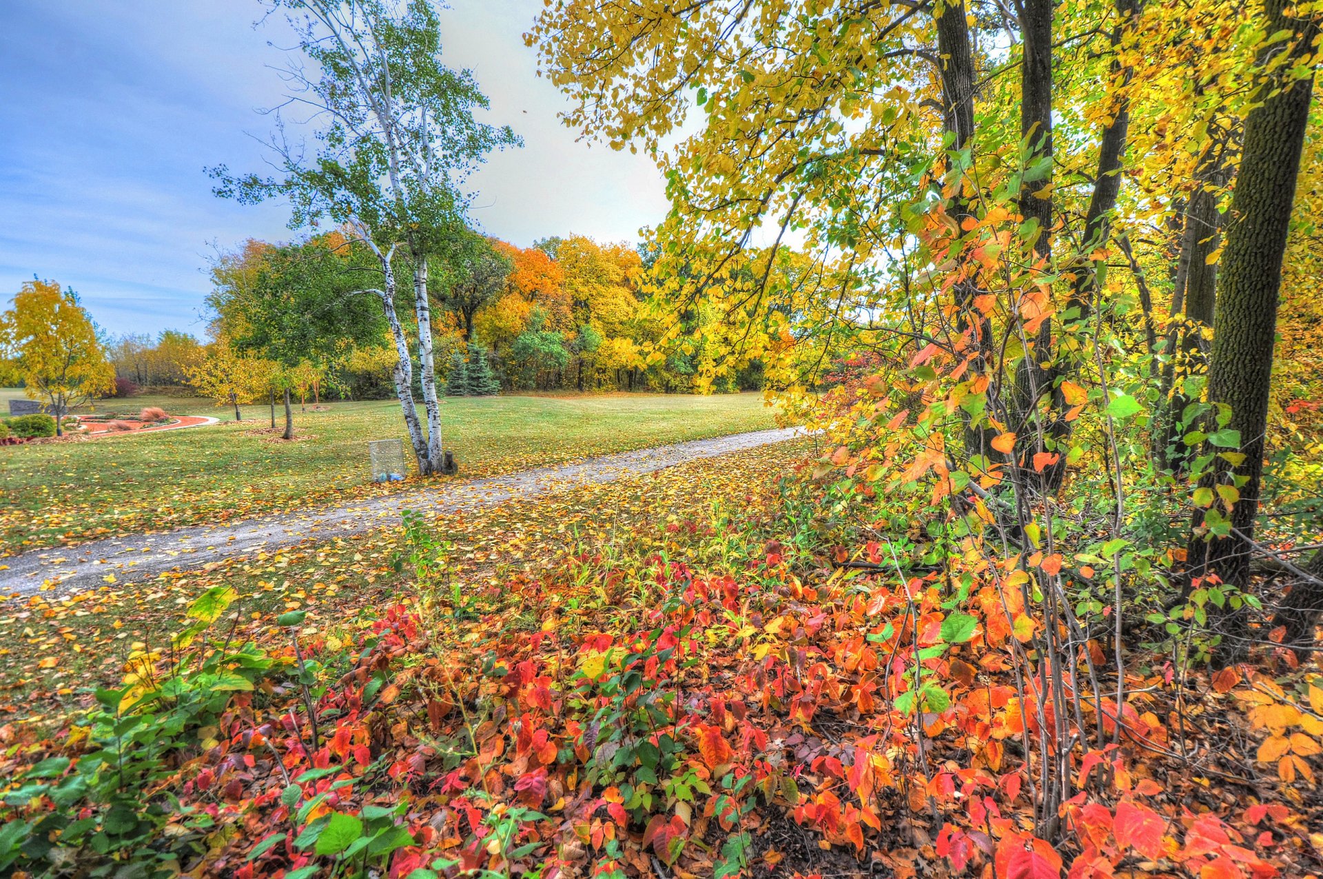 park bäume gras gehweg blätter herbst himmel