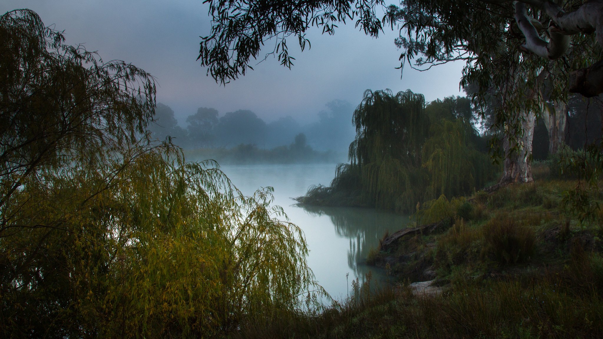 australia meridionale fiume murray mattina nebbiosa