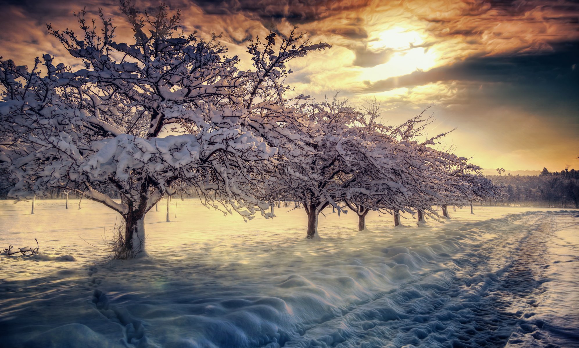 natura cielo nuvole alba neve inverno paesaggio