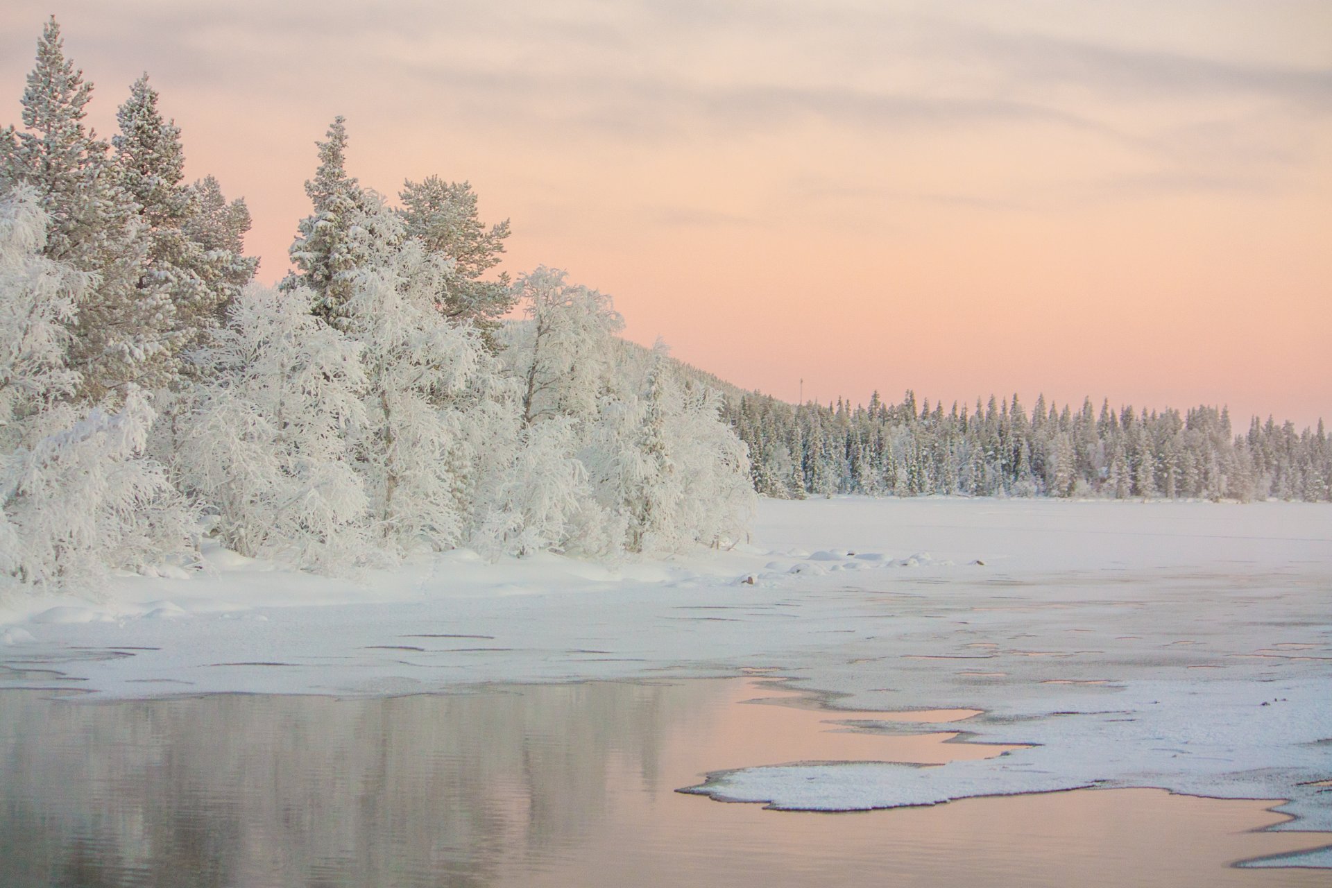 aube lac arbres hiver