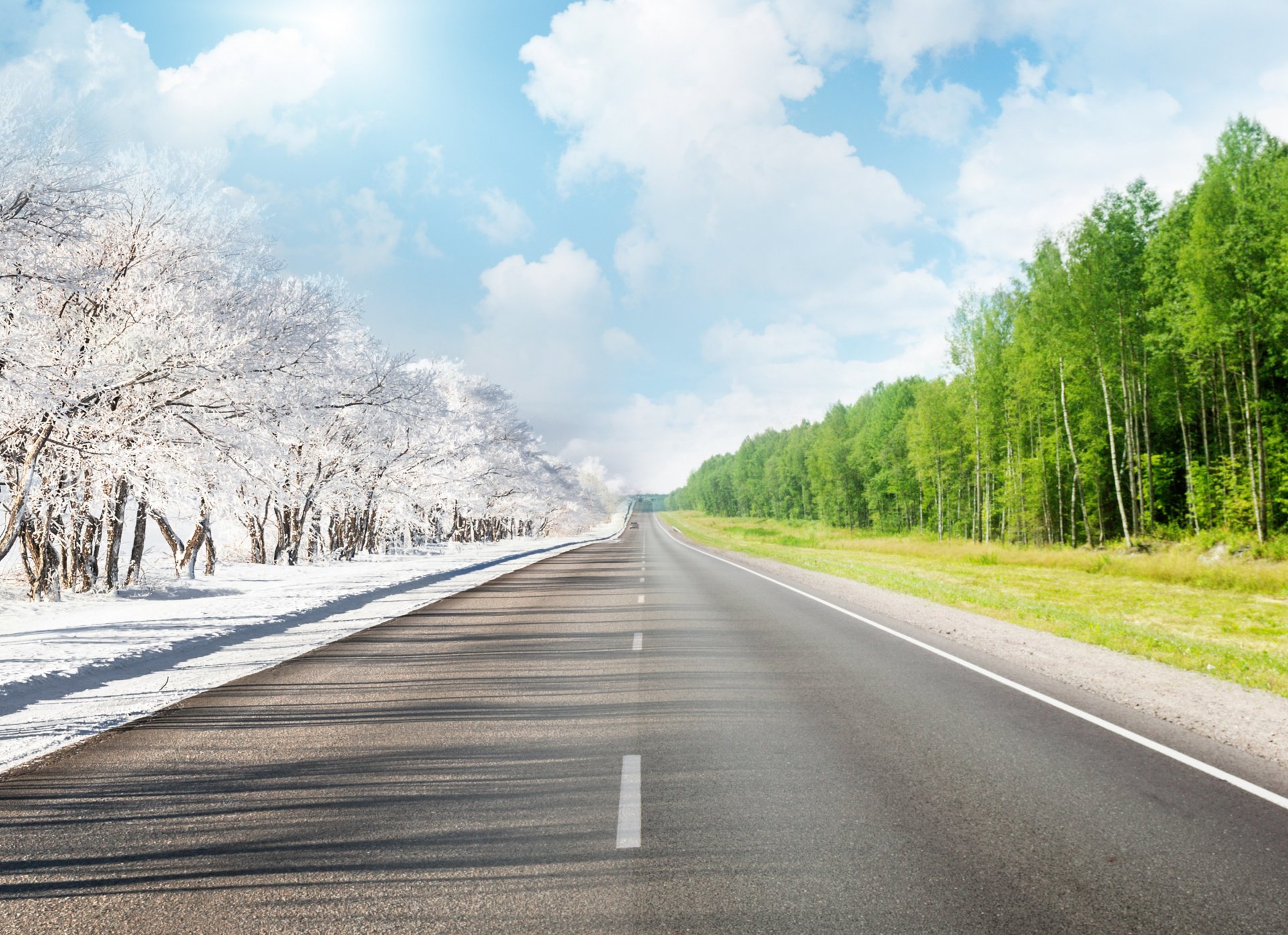 route marquage été hiver arbres ciel