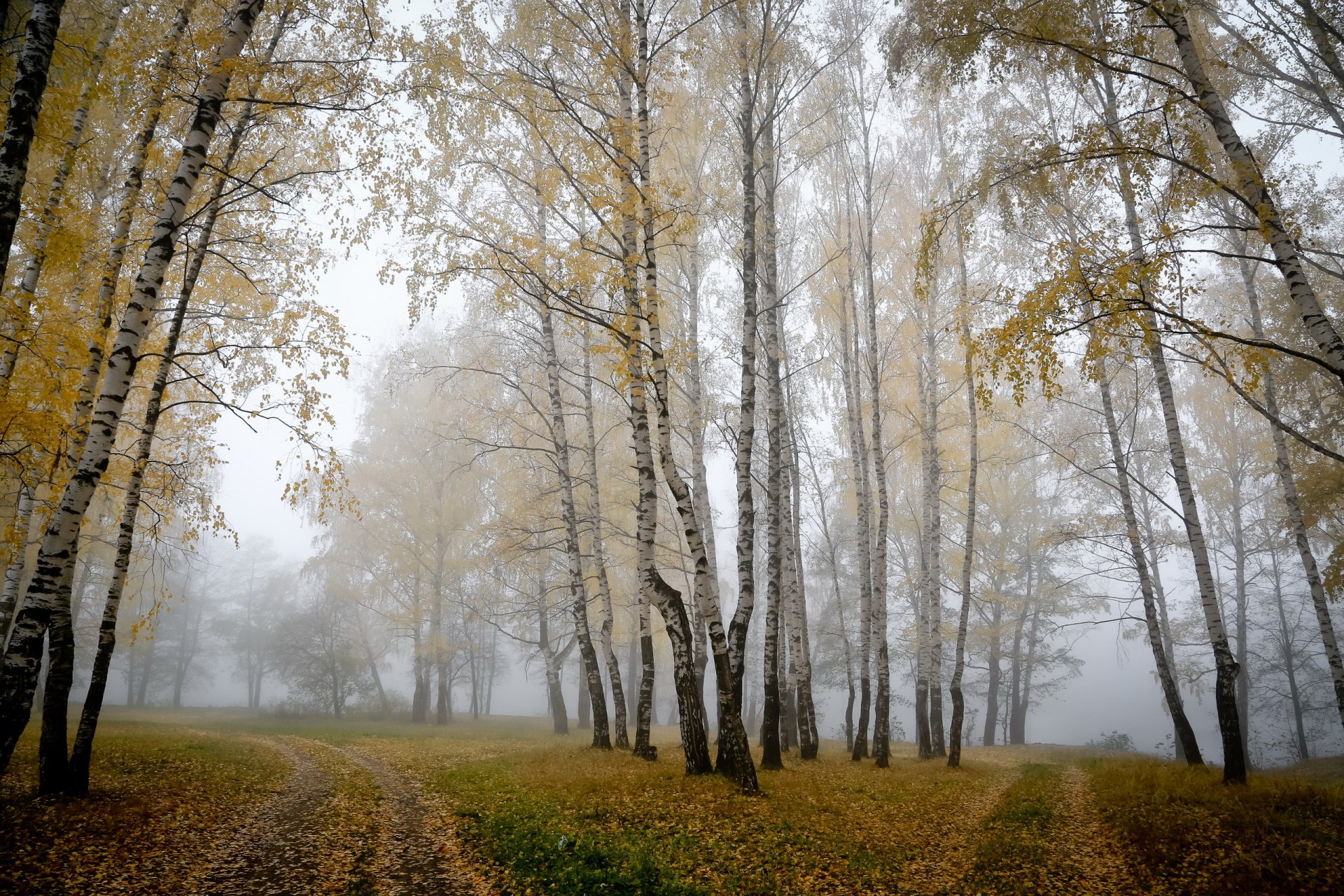 autunno natura