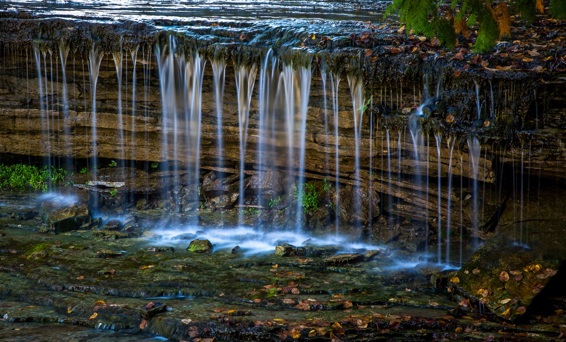 bach bach wasserfall steine herbst blätter