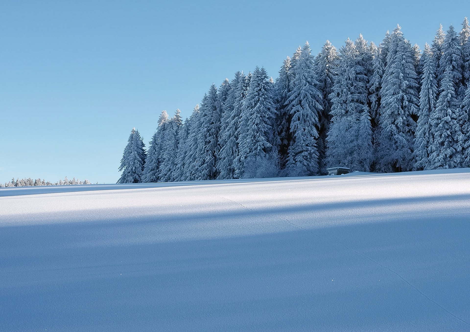 winter snow forest house frost