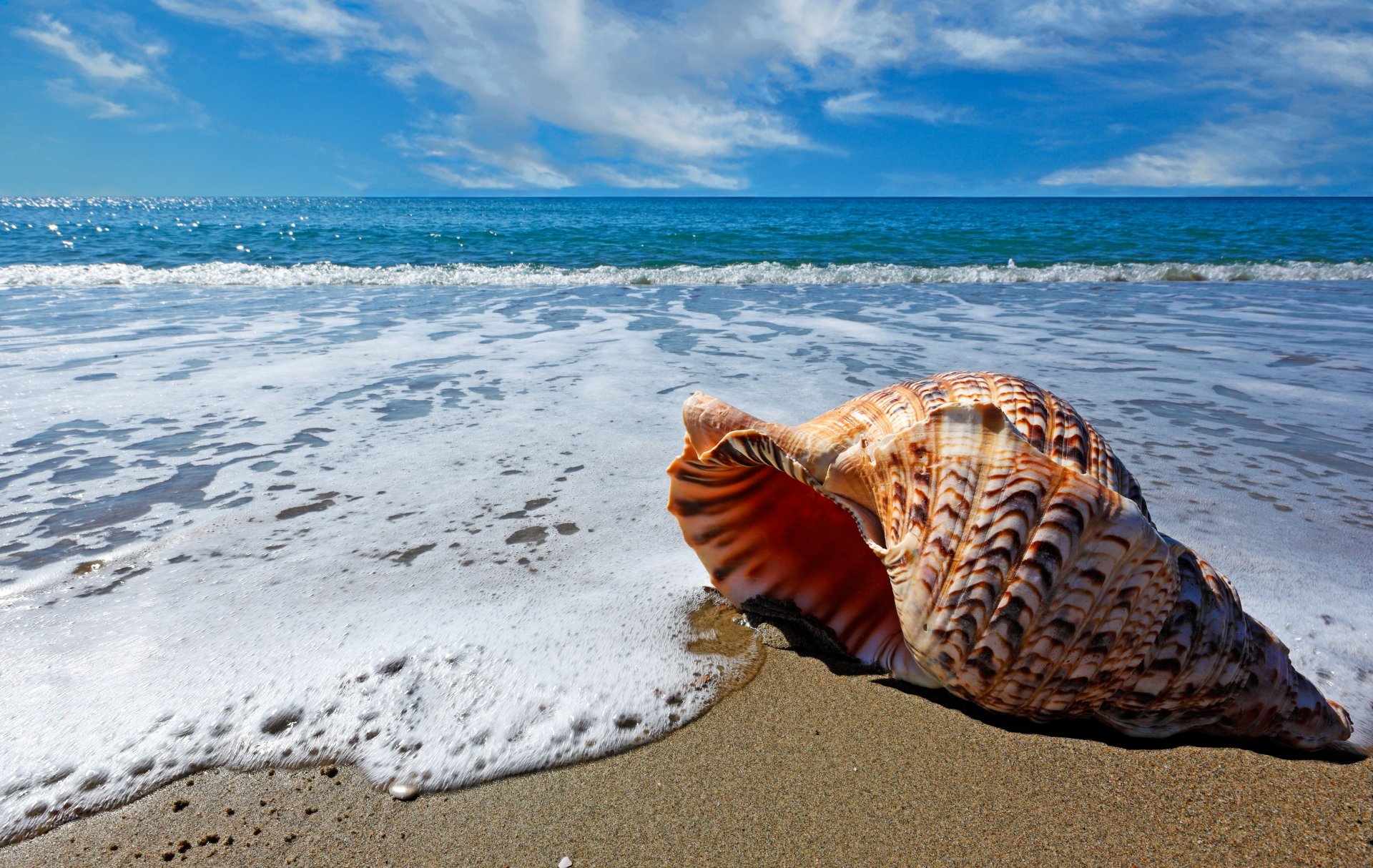 natura morze plaża chmury piasek muszle