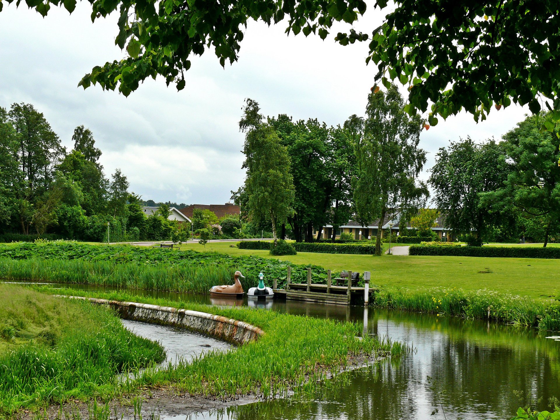 paysage danemark étang syddanmark nature photo