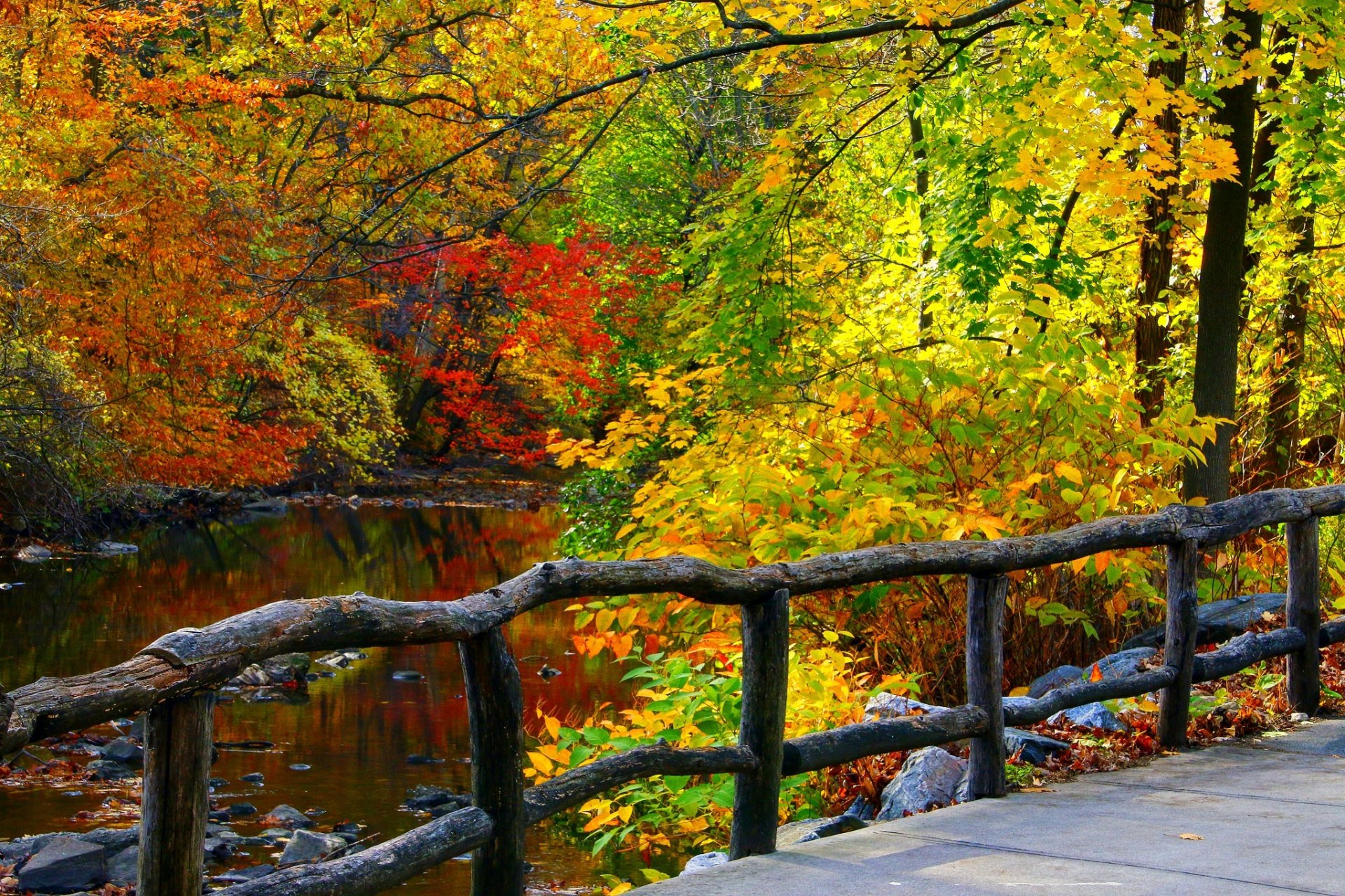 nature river water forest park trees leaves colorful autumn fall colors walk mountain