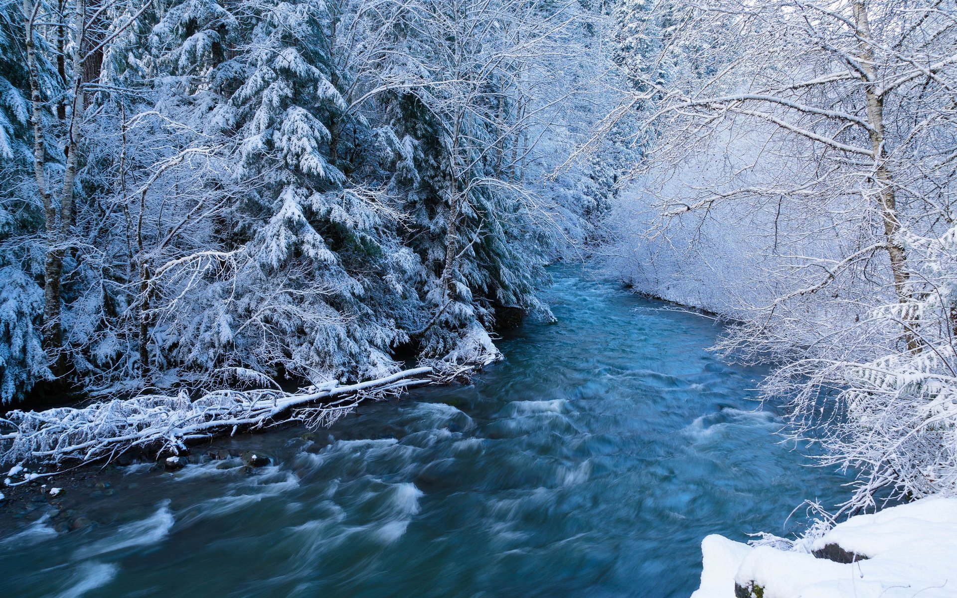 Поток холода. Зима река. Зимняя природа. Река зимой. Зима река лес.