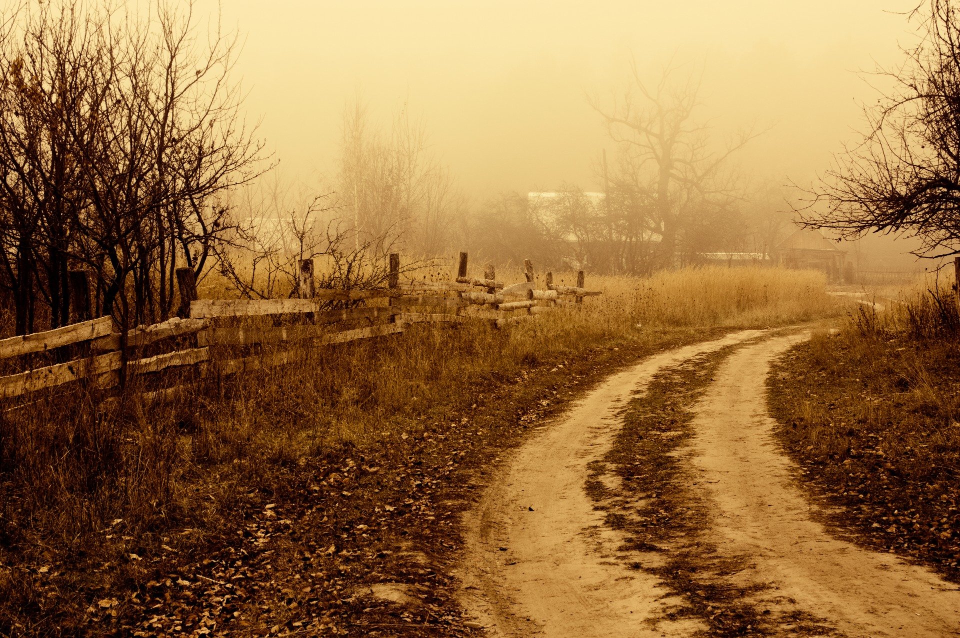 noviembre otoño naturaleza pueblo tonificación aburrido