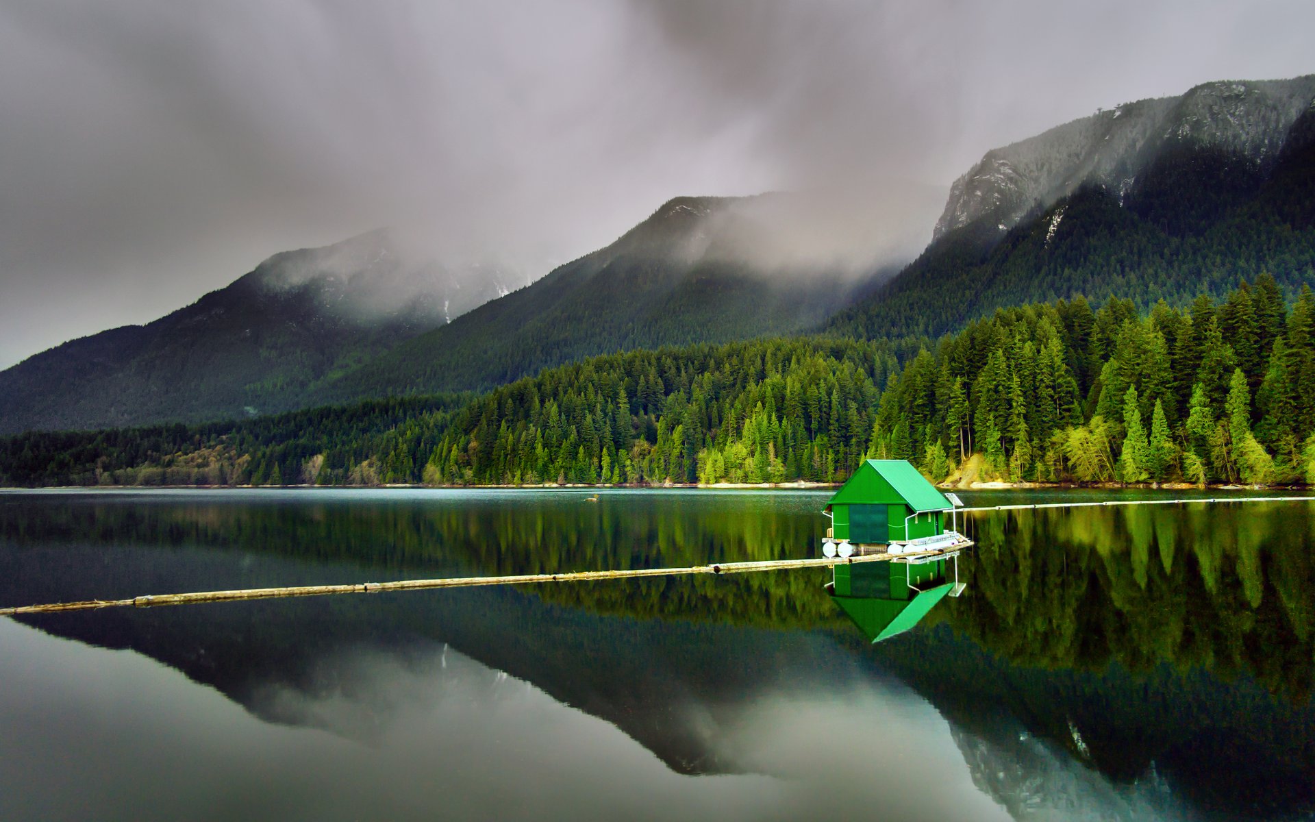 capilano lake north vancouver british columbia lake forest mountain nature