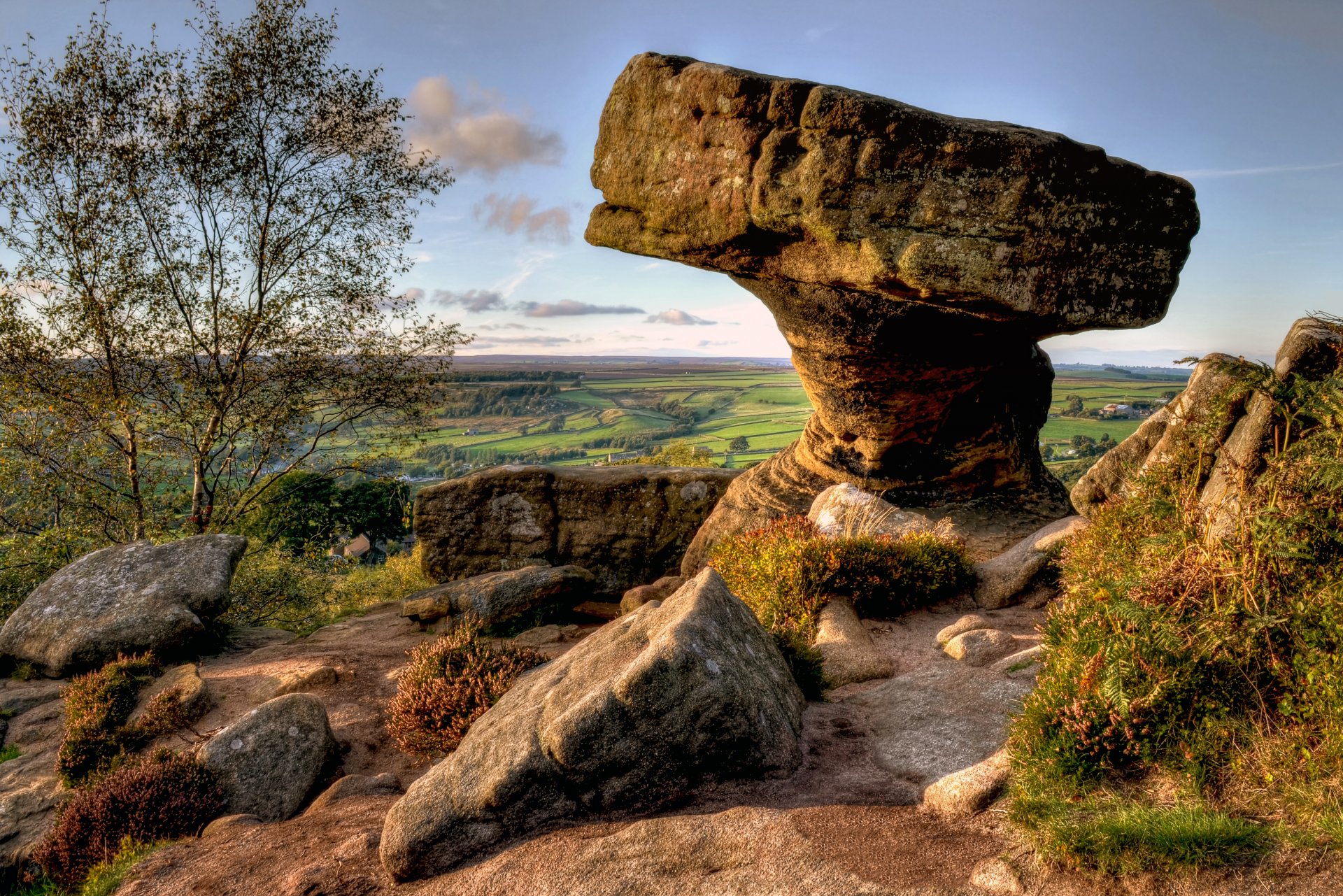 north yorkshire england stone landscape tree grass horizon sky