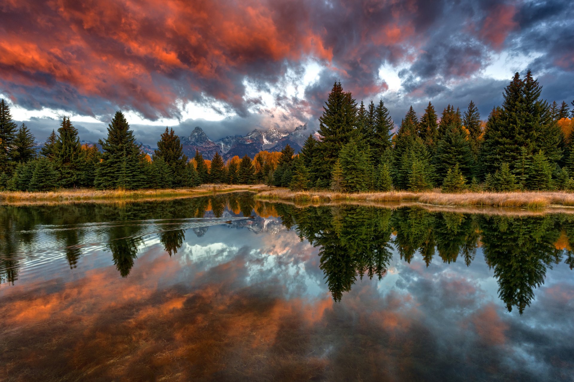 natura usa wyoming park narodowy grand teton snake river schwabachers lądowania rano las góry niebo chmury odbicia kaczki