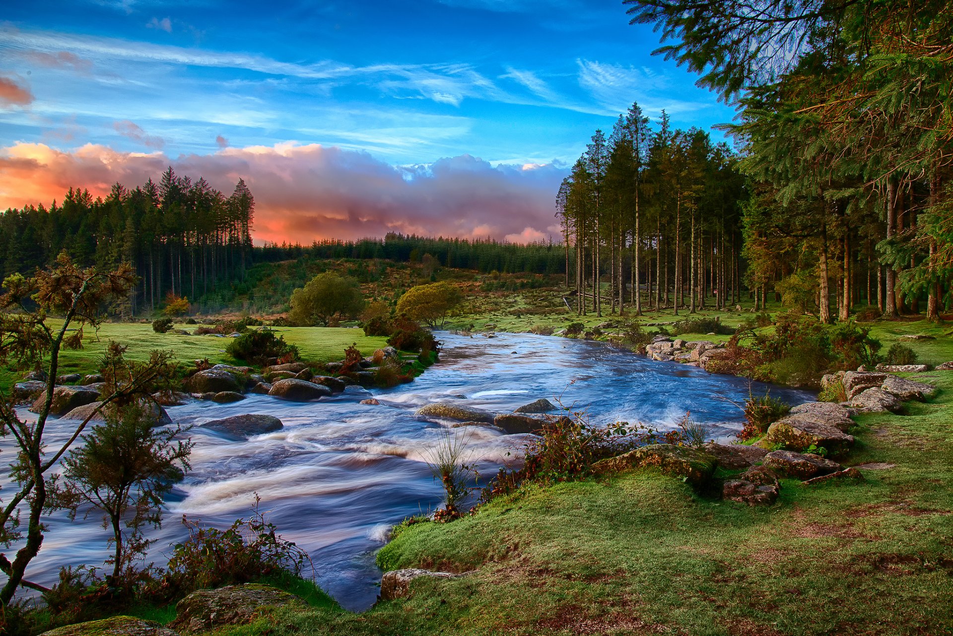 południowo-zachodnia anglia hrabstwo devon park narodowy dartmoor las rzeka poranek chmury