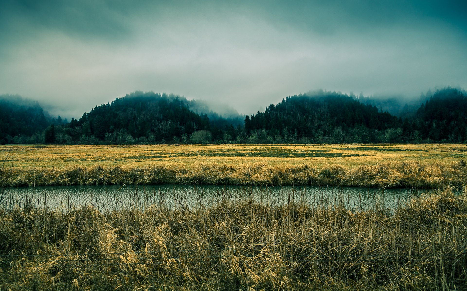 oregon ciel brouillard rivière arbres