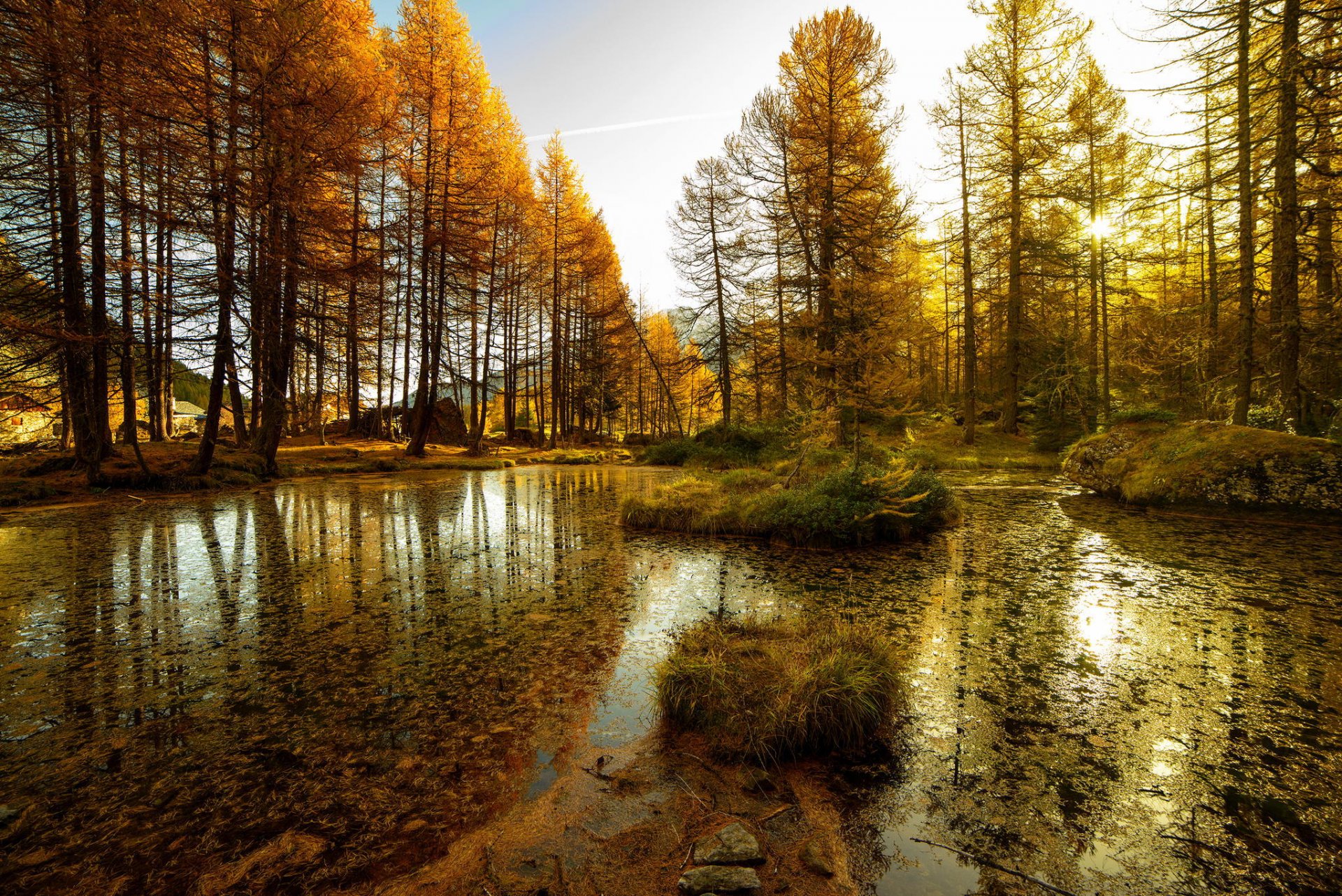 naturaleza bosque árboles. cuerpo de agua lago agua tina otoño